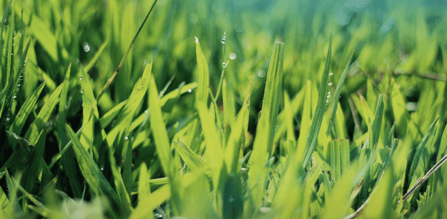 GOLFDIGG TESTING SHOP1