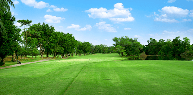 dynasty-golf-country-club