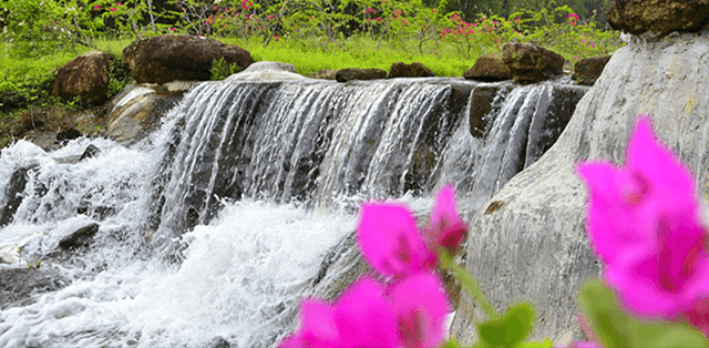 wangjuntr-golf-park-jungle-course