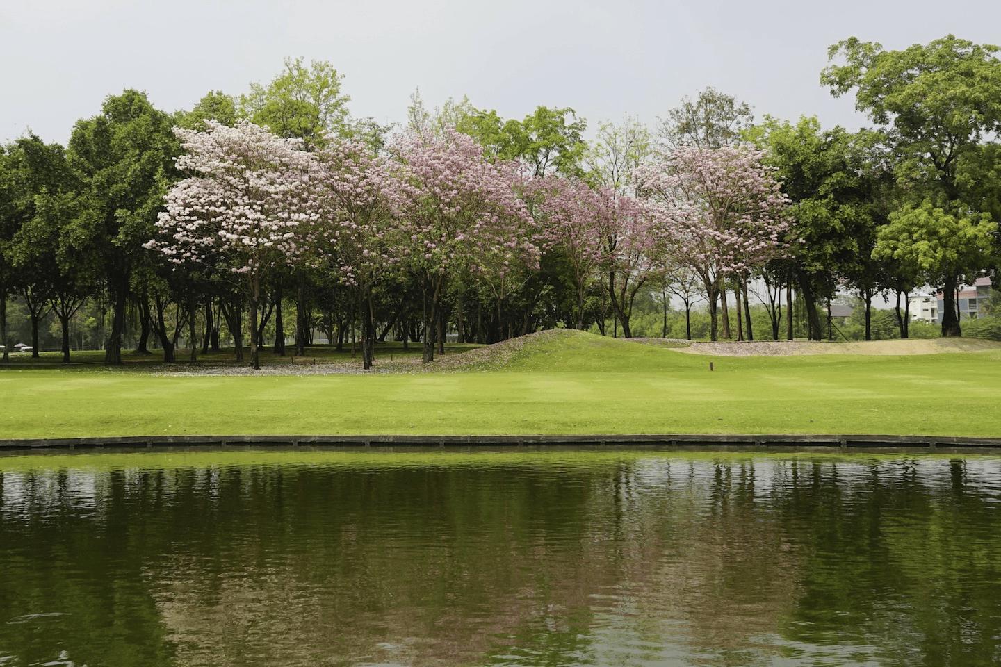 bangkok-golf-club