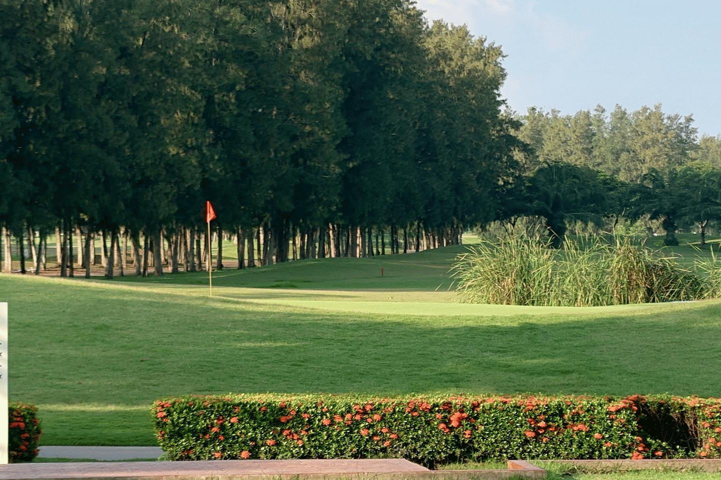 the-pine-golf-club