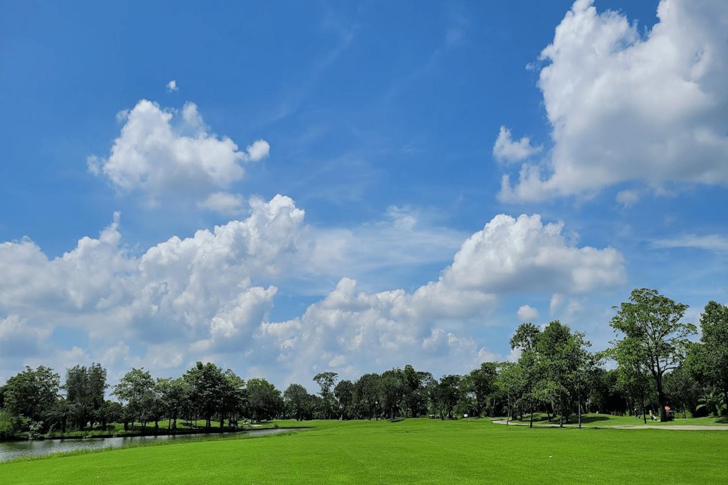 the-pine-golf-club