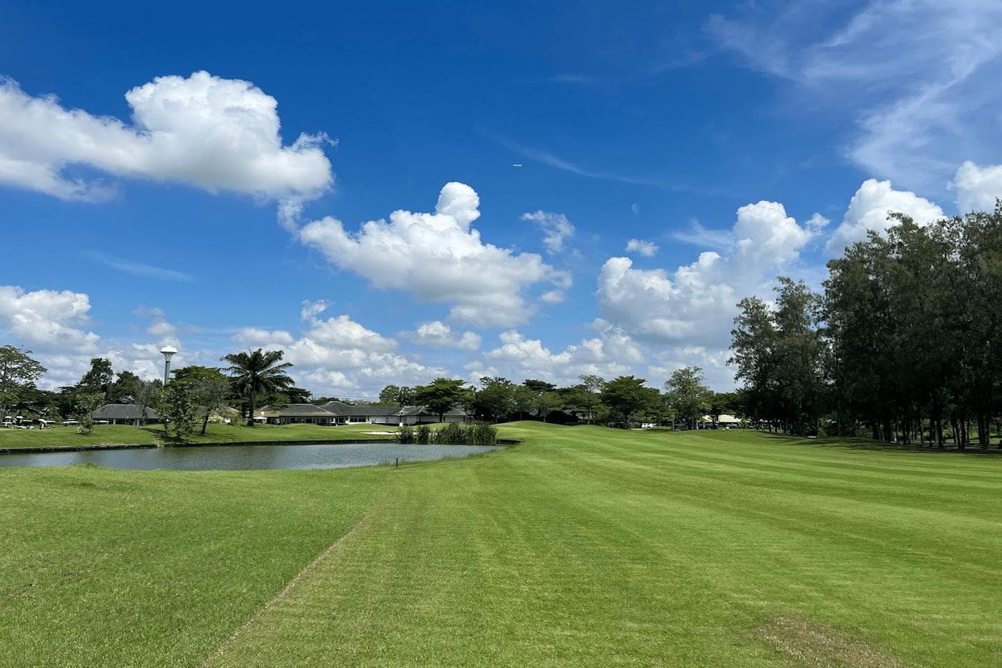 The Pine Golf Club