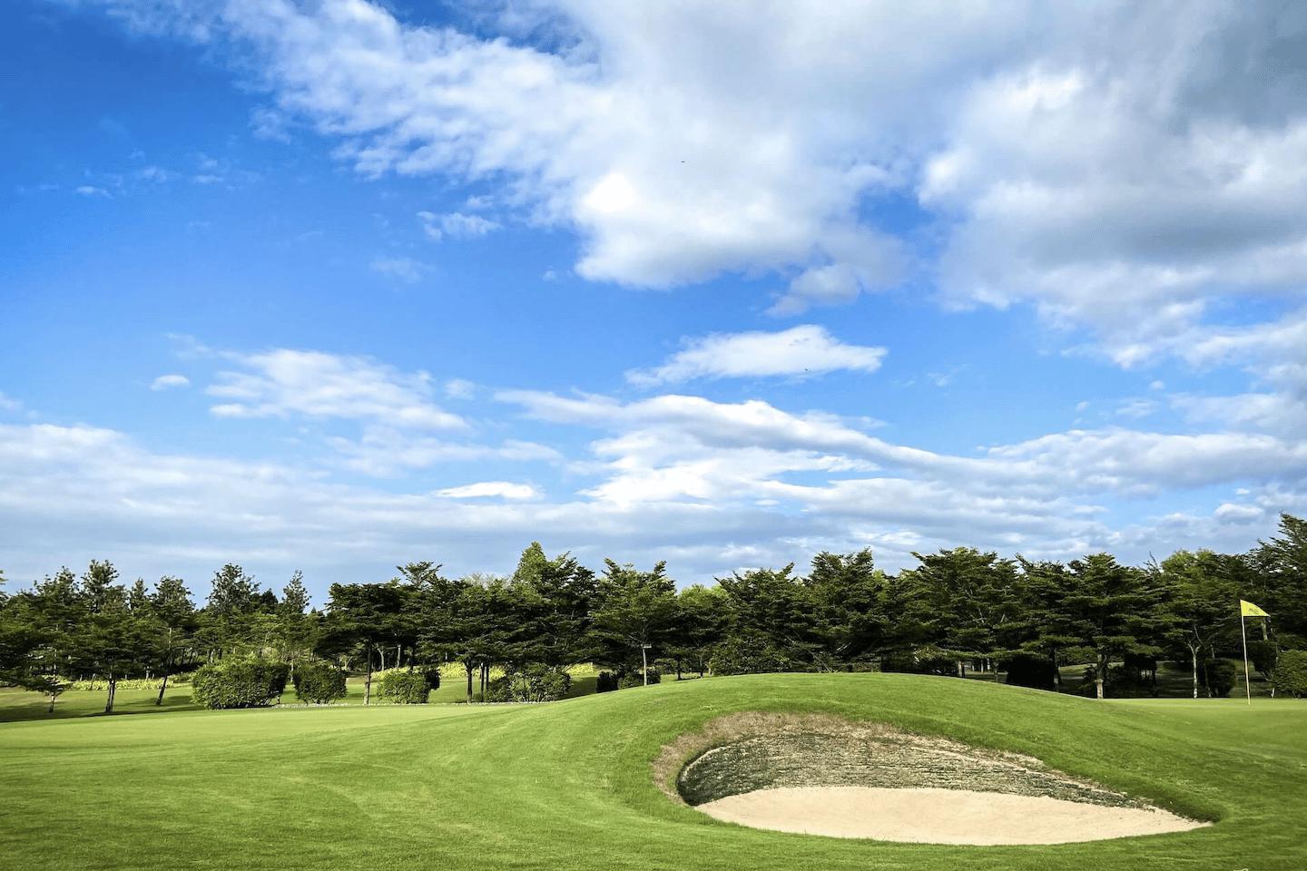 THE ROYAL GEMS CITY GOLF CLUB