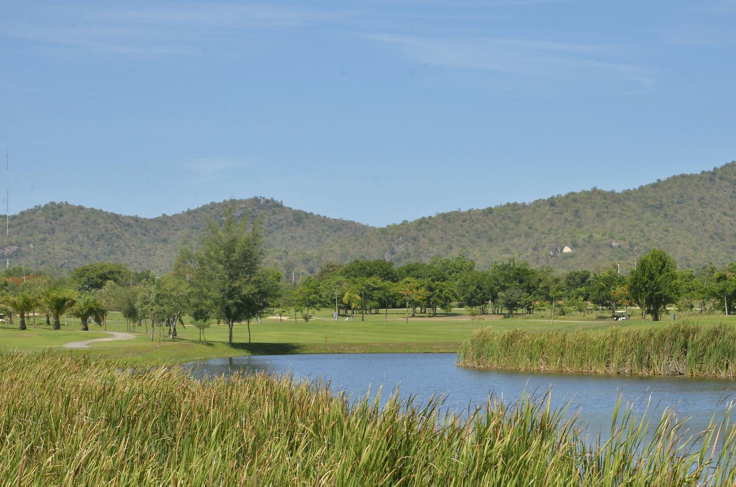 SEAPINE + GOLDEN BEACH