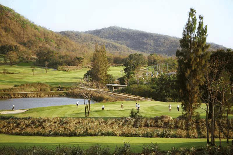 PINEAPPLE VALLEY + GOLDEN BEACH