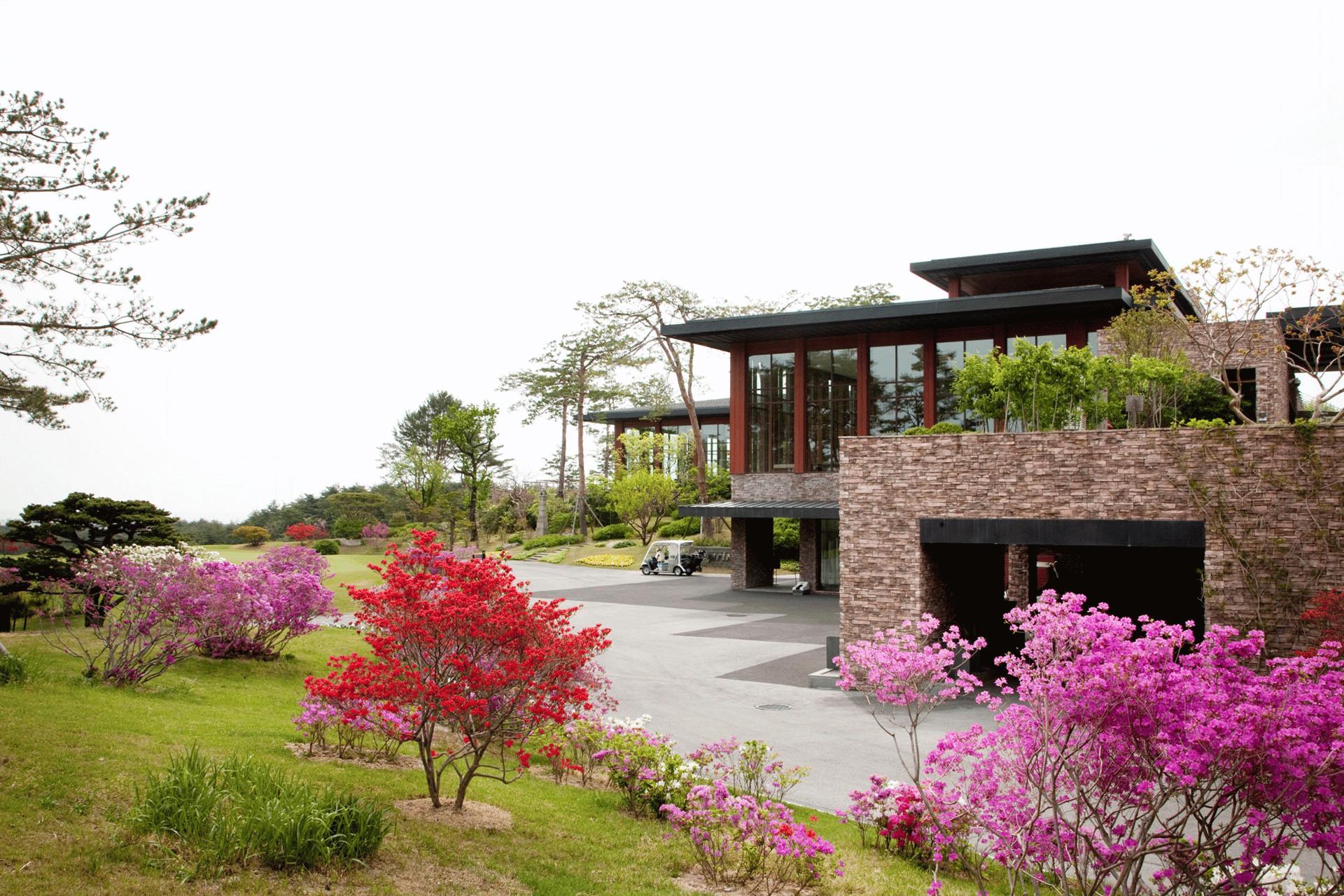 [STAY & PLAY] Sandpine golf club (Korea)