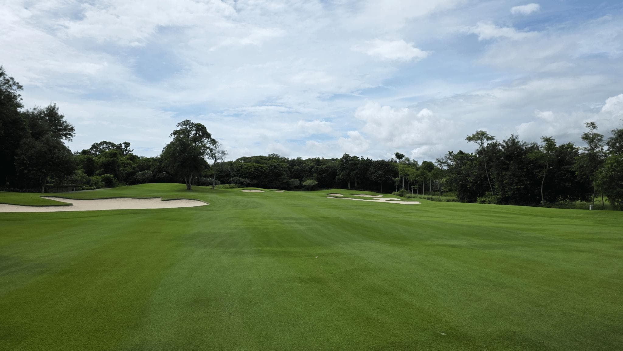 Golfer reviews for courseName