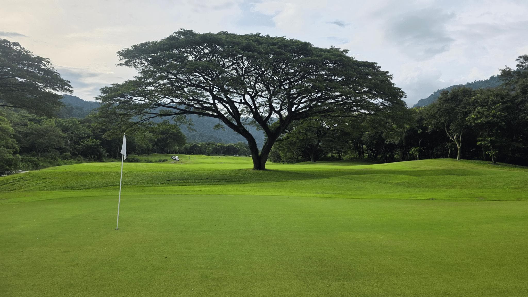 Golfer reviews for courseName