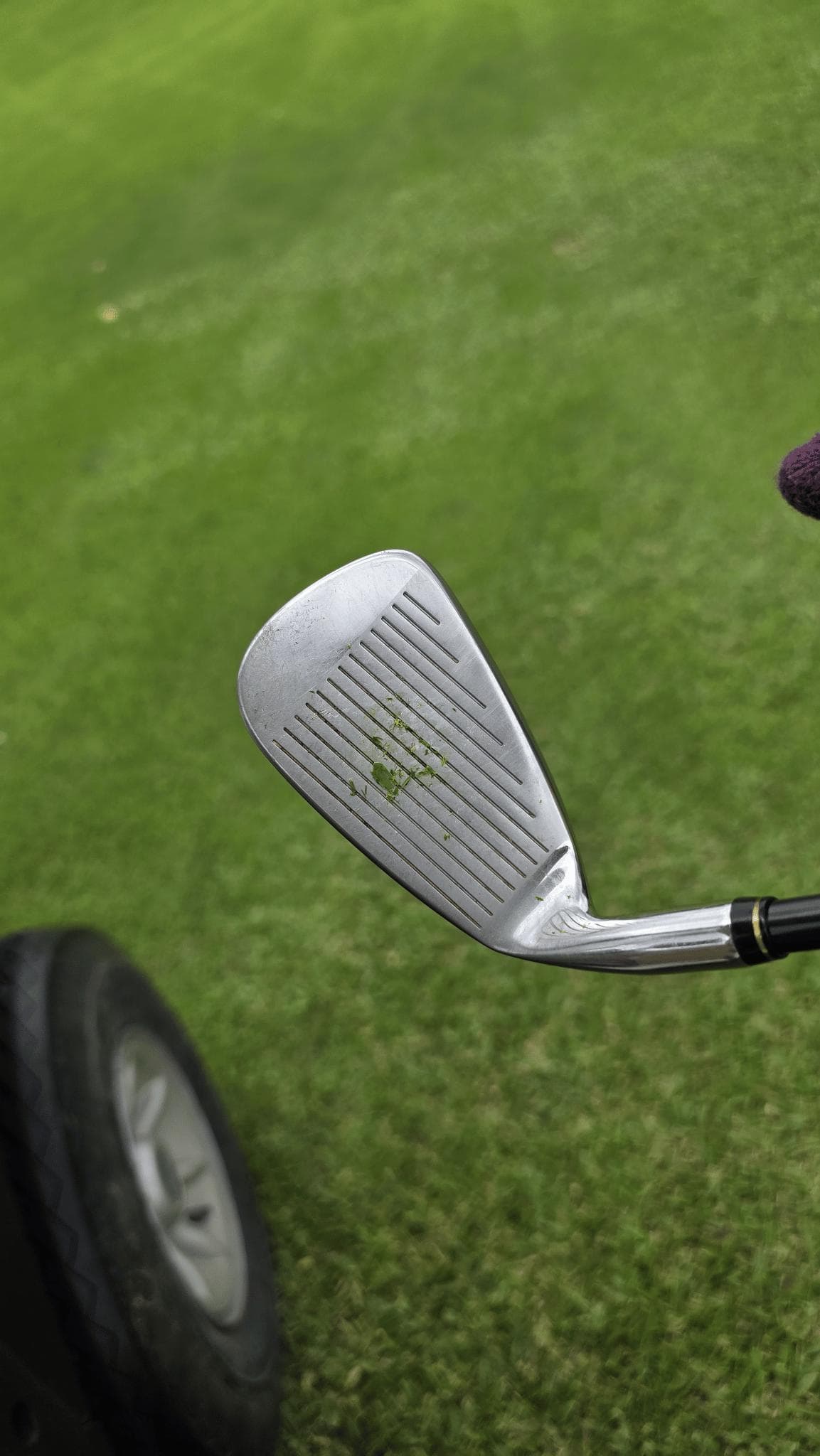Golfer reviews for courseName