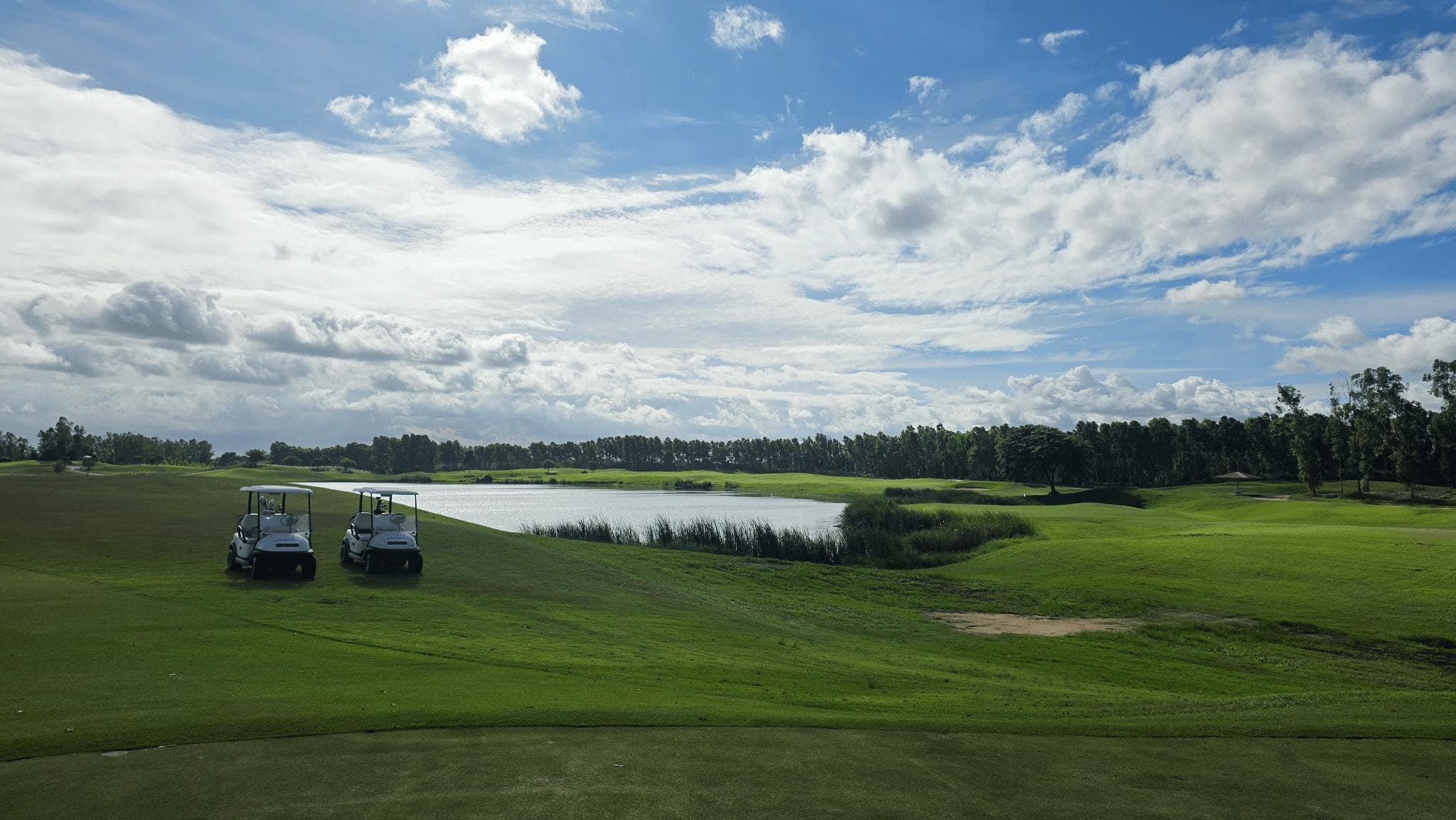 Golfer reviews for courseName