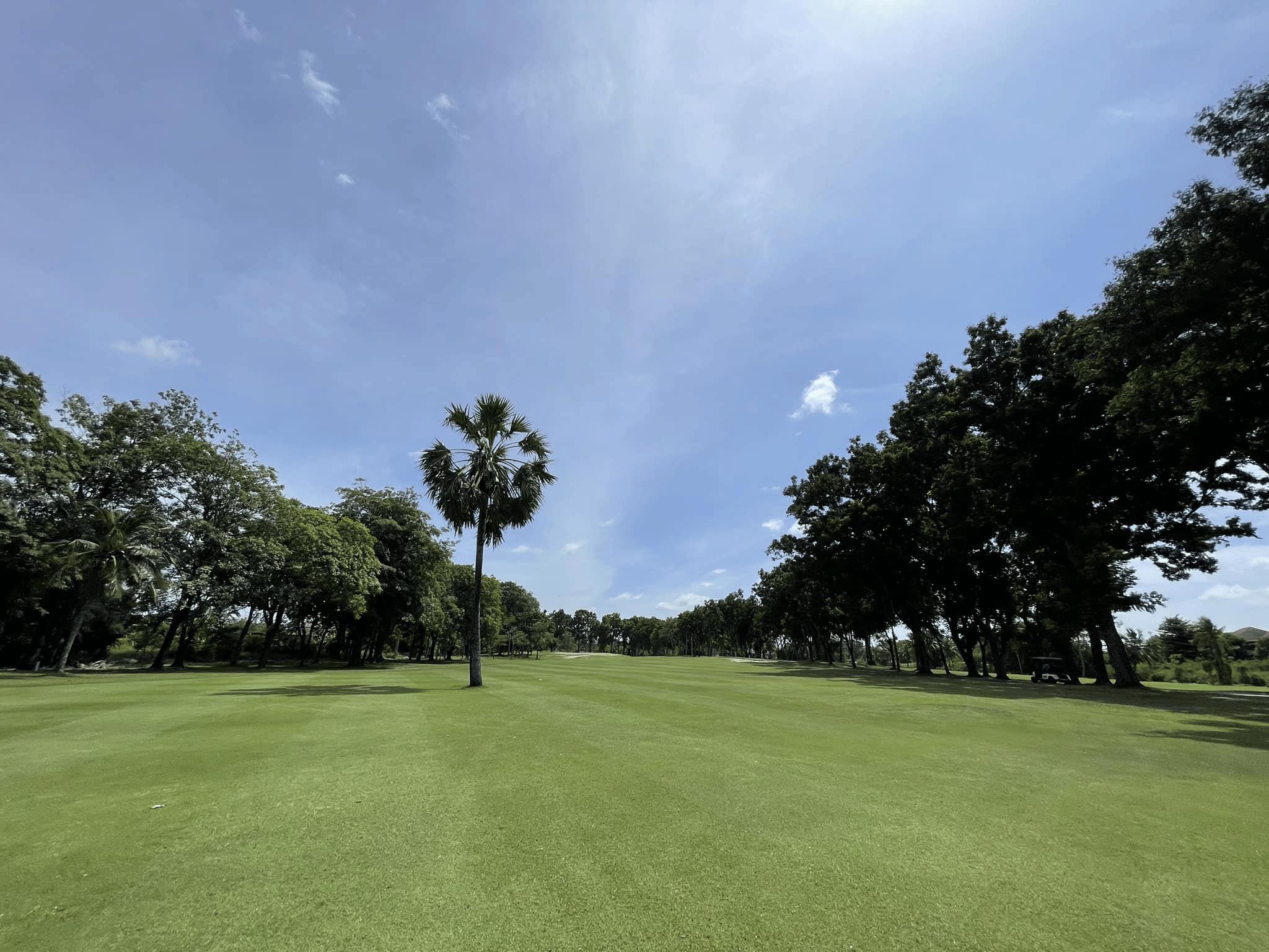 THE POMELO GOLF CLUB