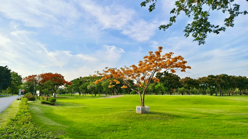 ROYAL THAI ARMY GOLF COURSE