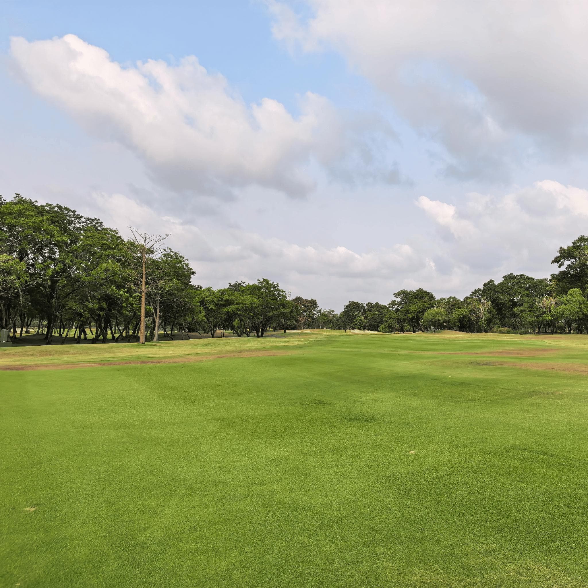 Golfer reviews for courseName