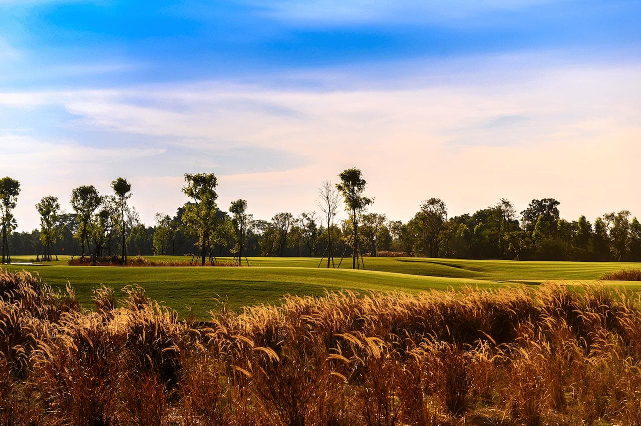 Siam Country Club Bangkok fairway and green - golf course Thailand