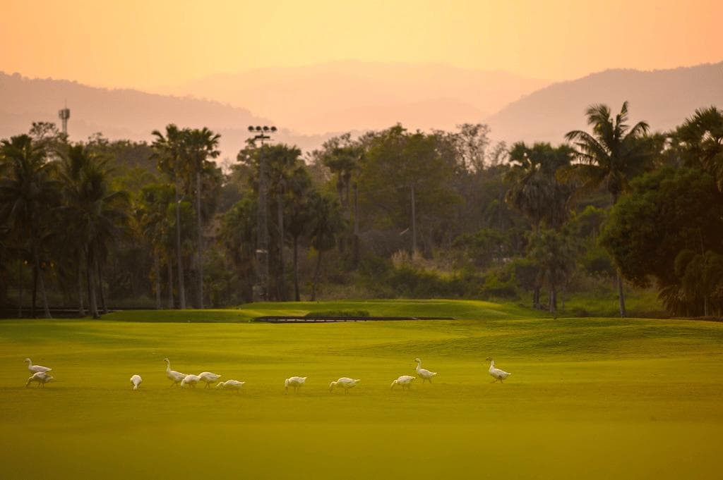 Summit Green Valley Chiangmai Country Club fairway and green - golf course Thailand