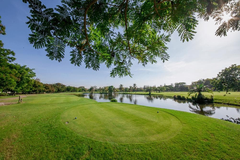 Windsor Park & Golf Club fairway and green - golf course Thailand