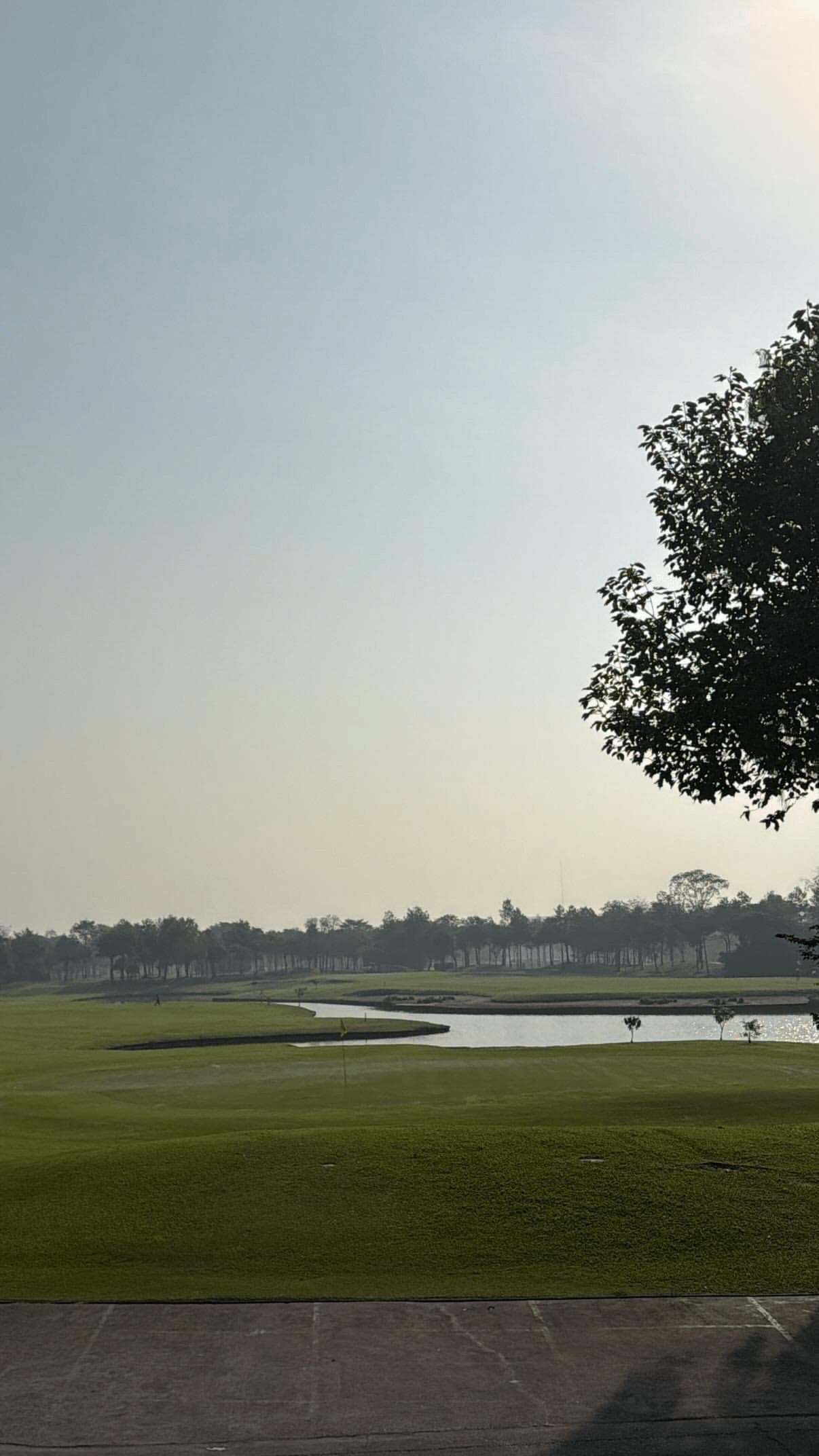 Golfer reviews for courseName