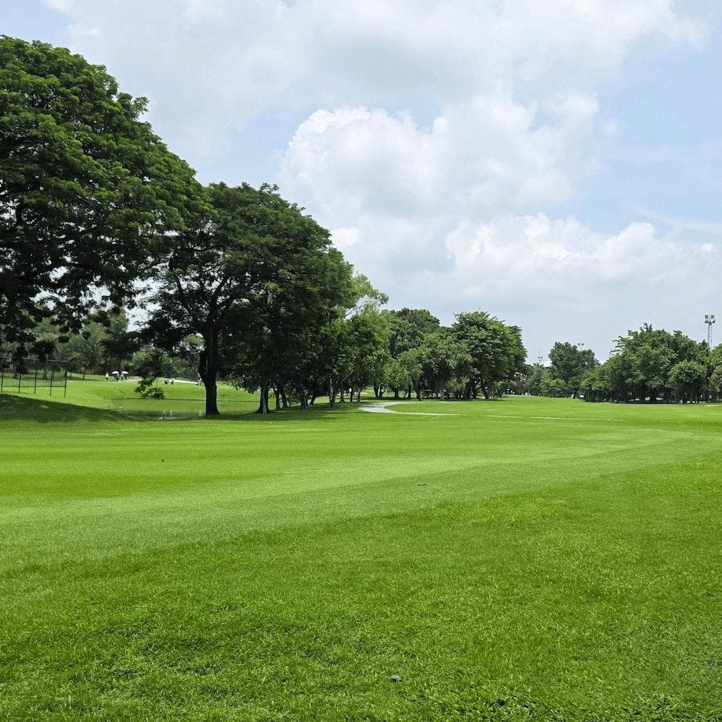 Golfer reviews for courseName