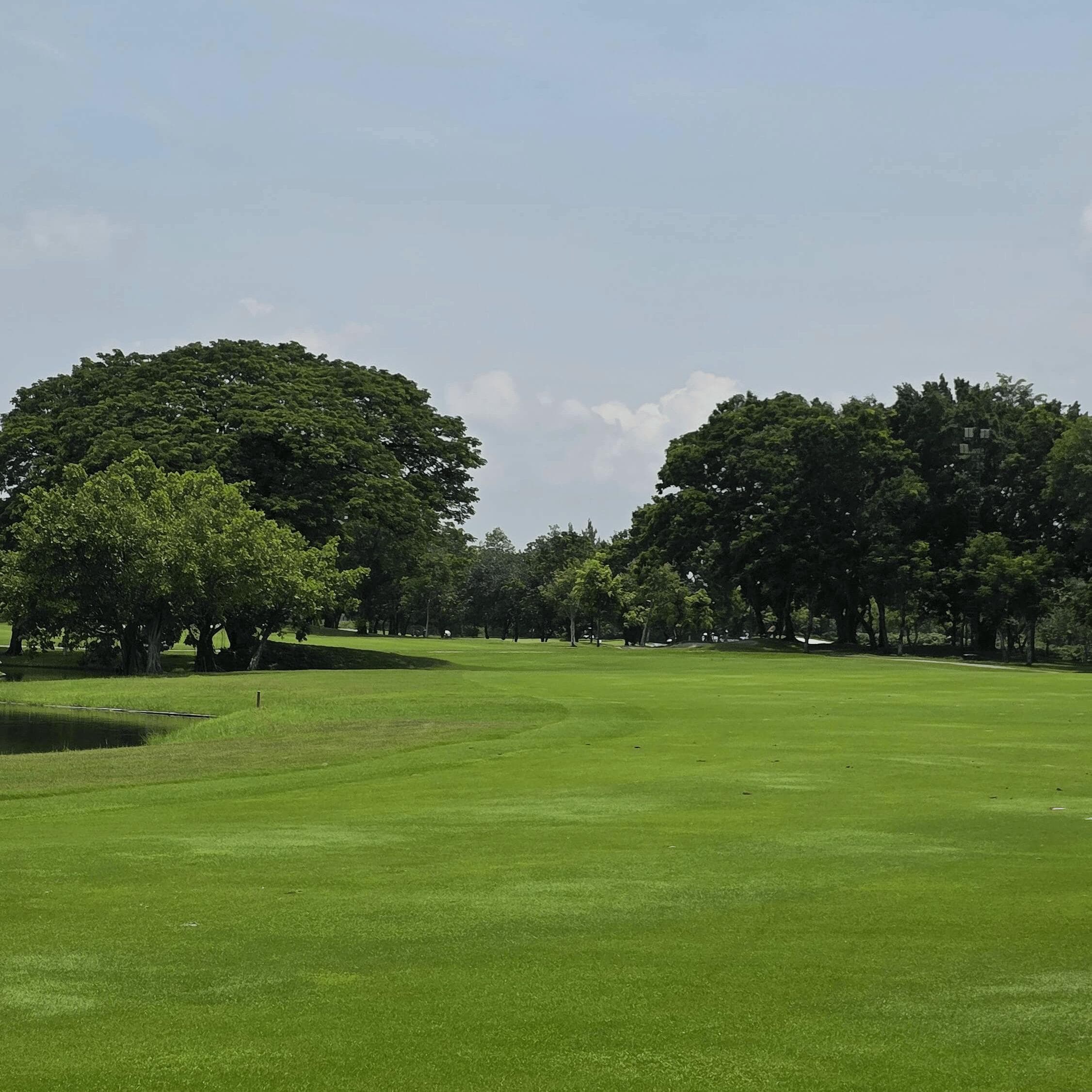 Golfer reviews for courseName
