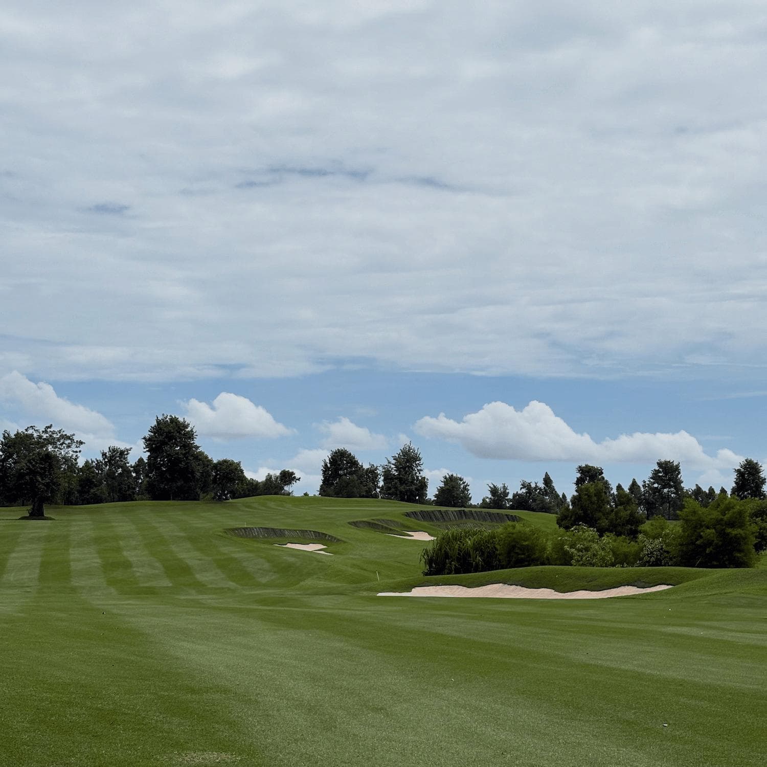 Golfer reviews for courseName