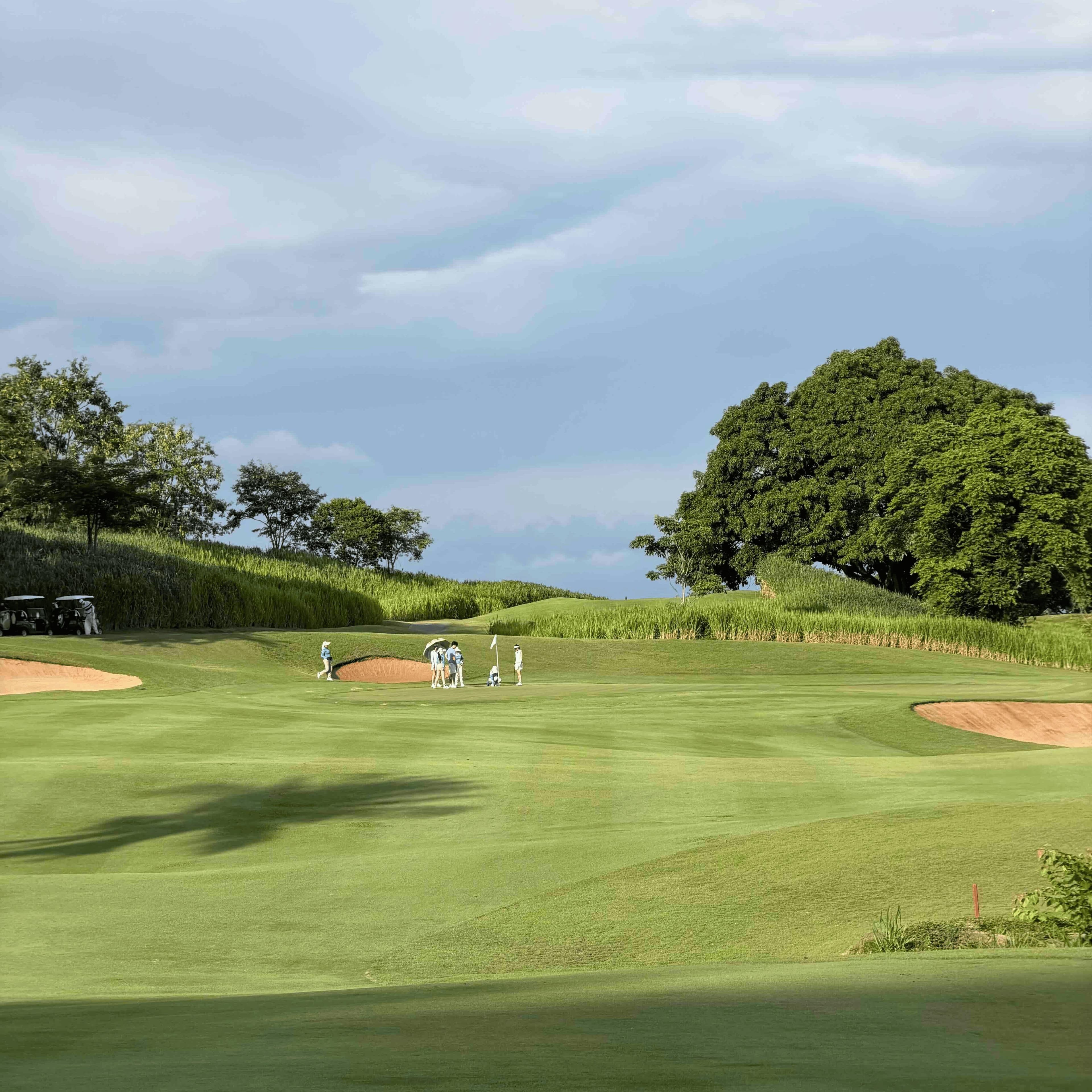 Golfer reviews for courseName