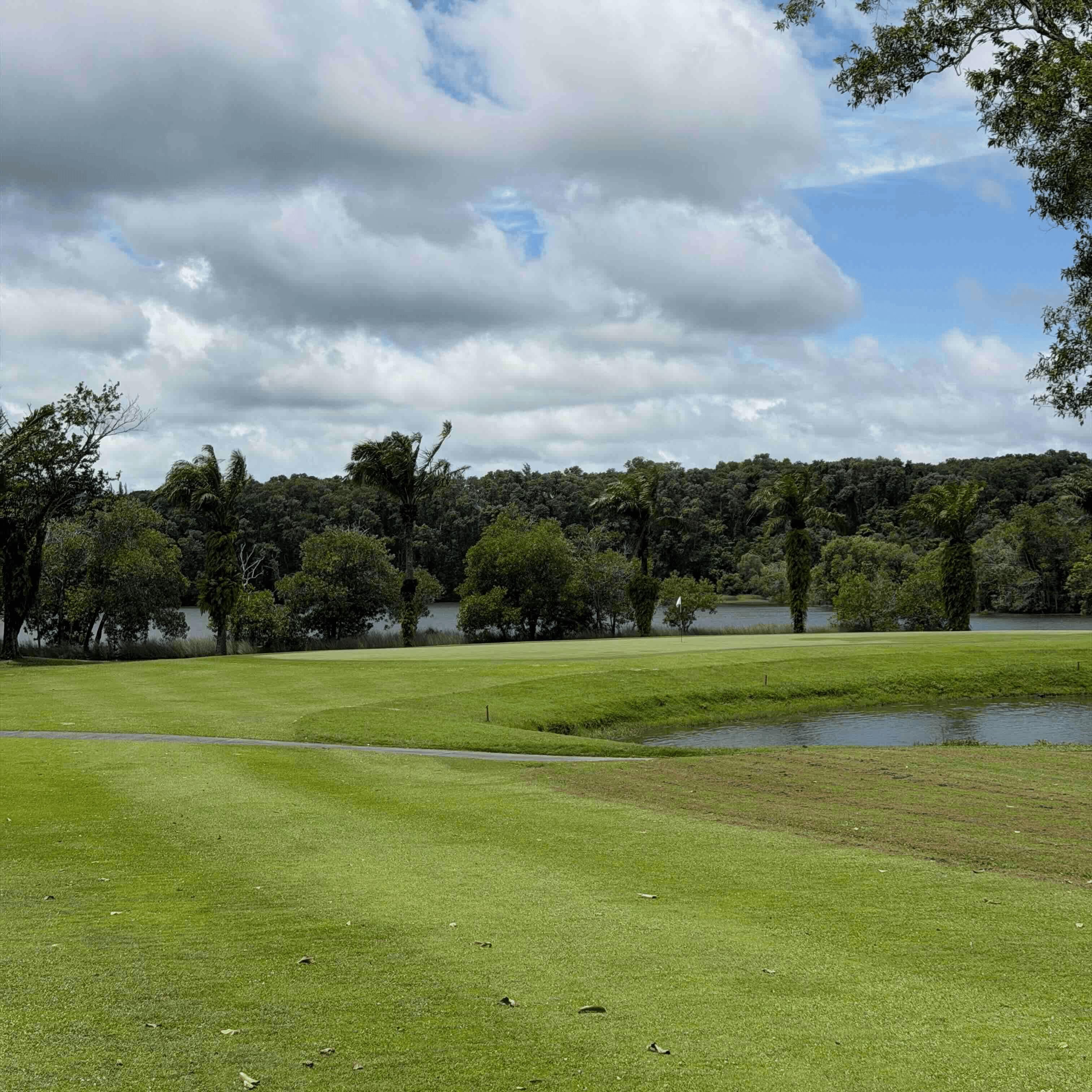 Golfer reviews for courseName