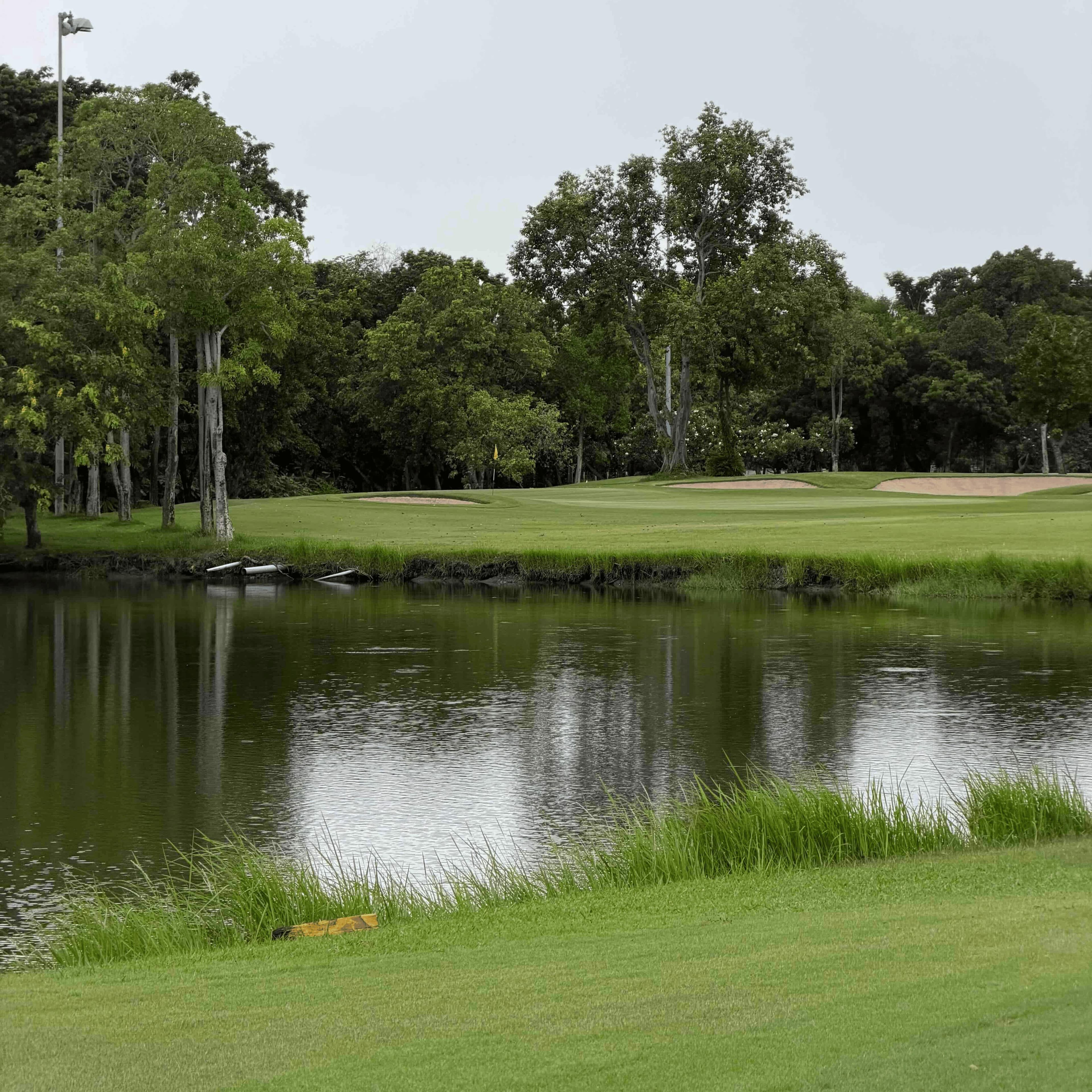 Golfer reviews for courseName
