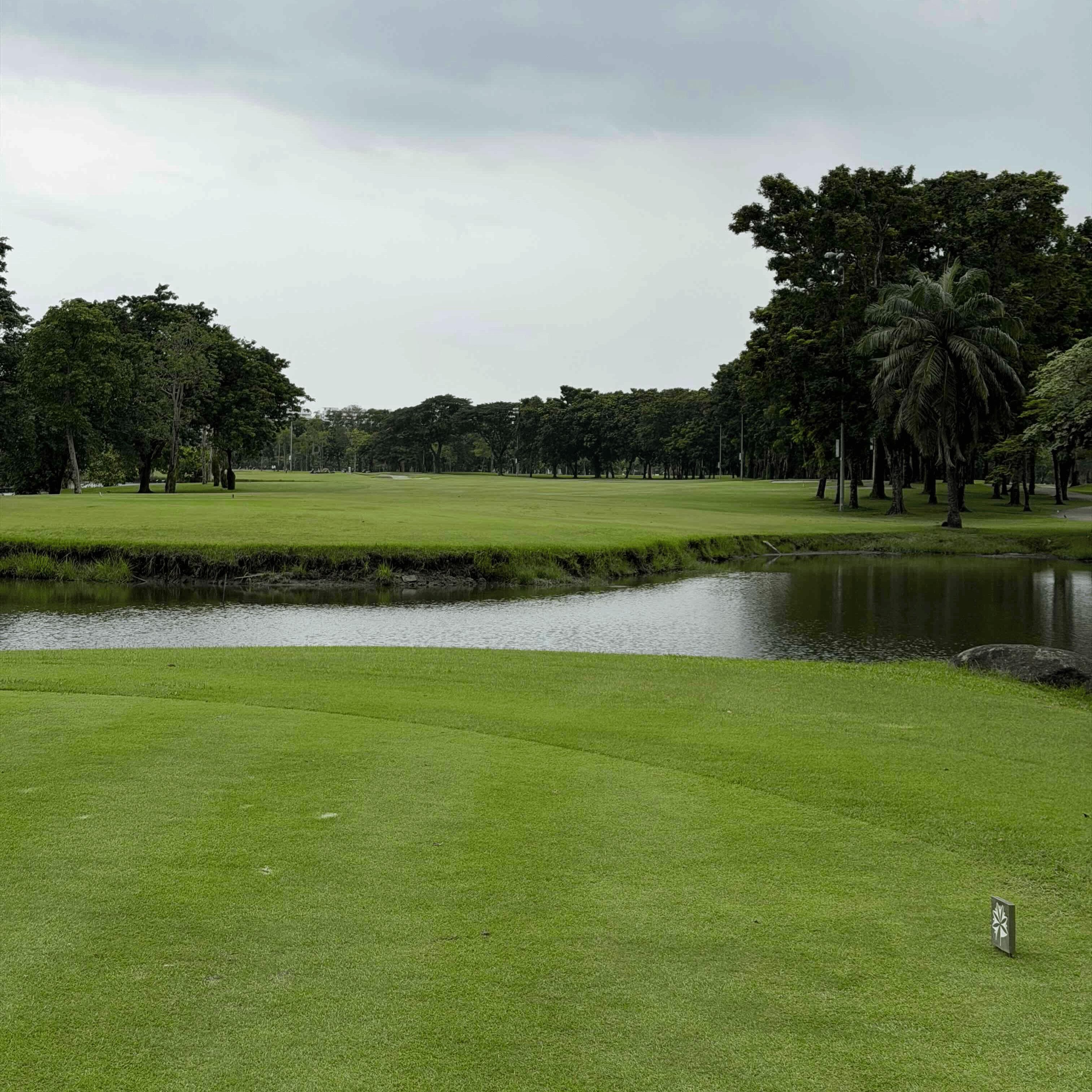 Golfer reviews for courseName