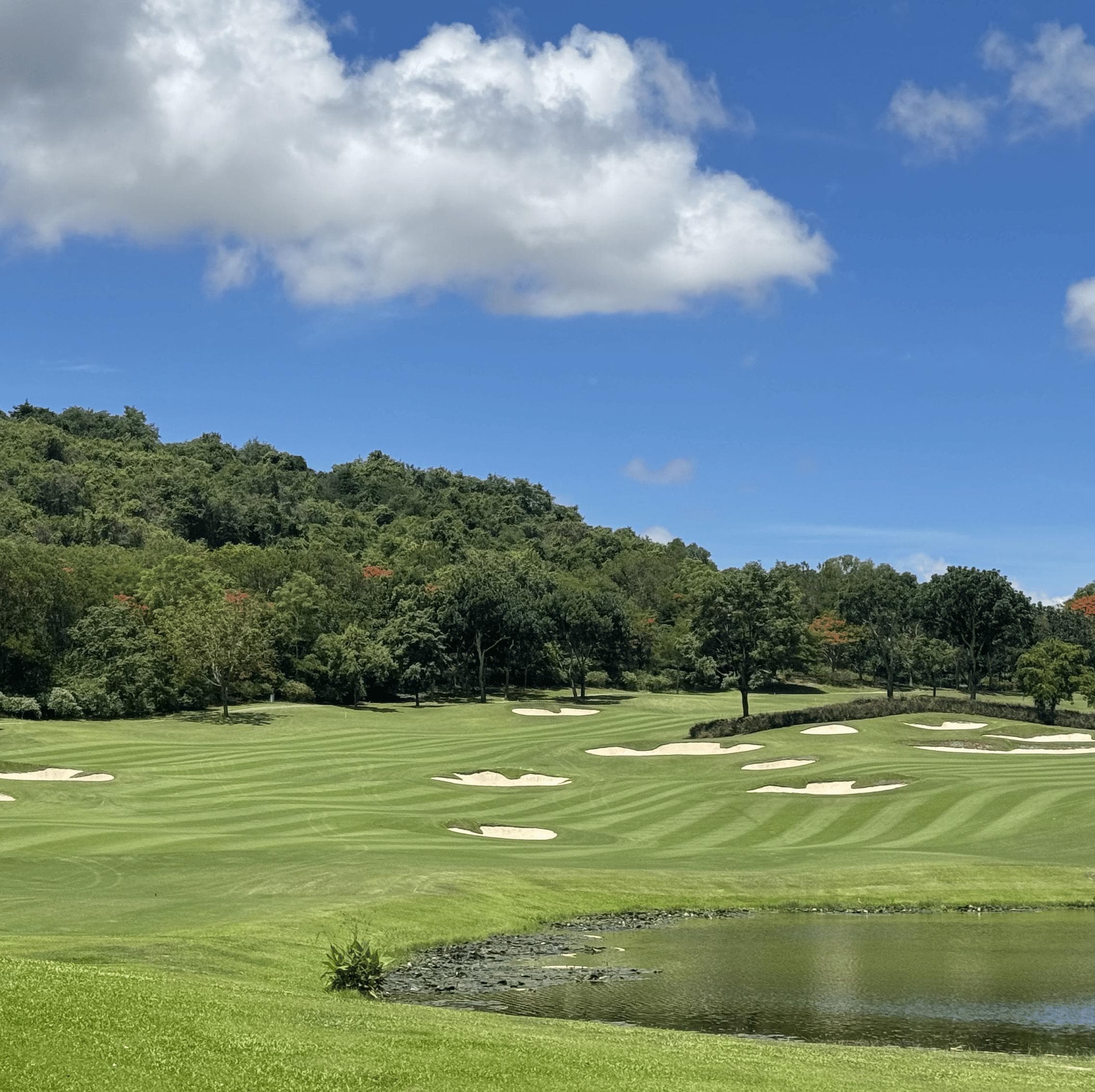 Golfer reviews for courseName