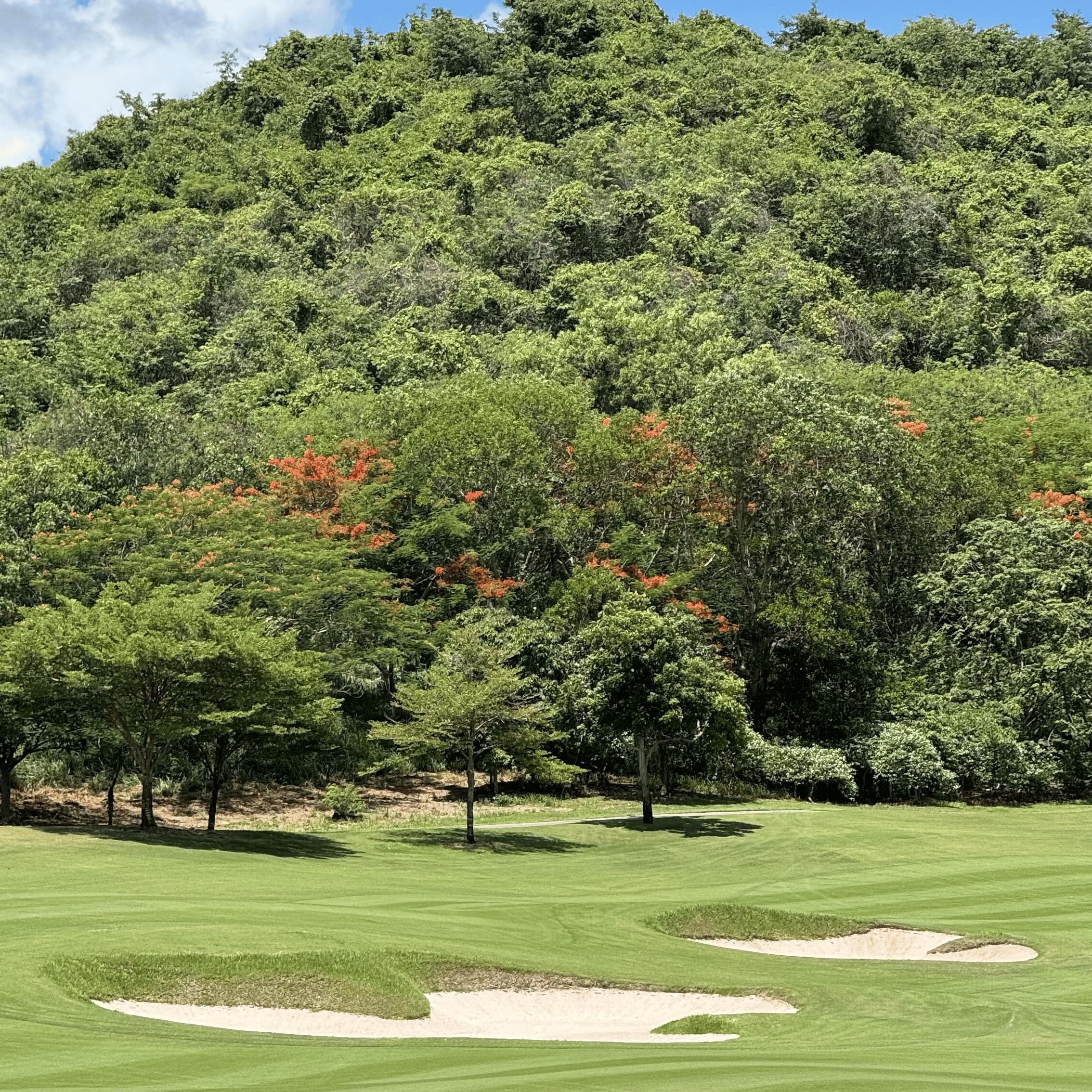 Golfer reviews for courseName