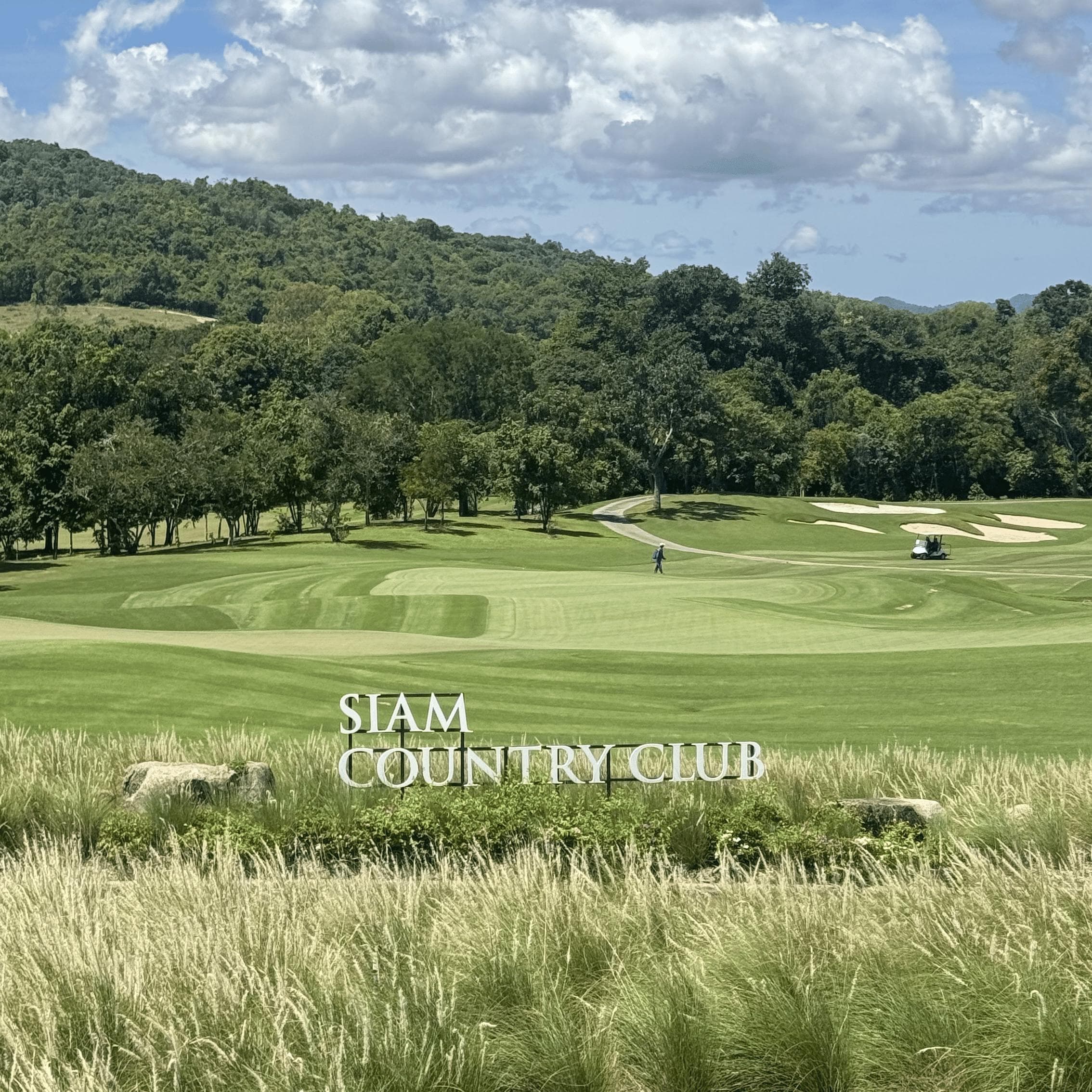 Golfer reviews for courseName