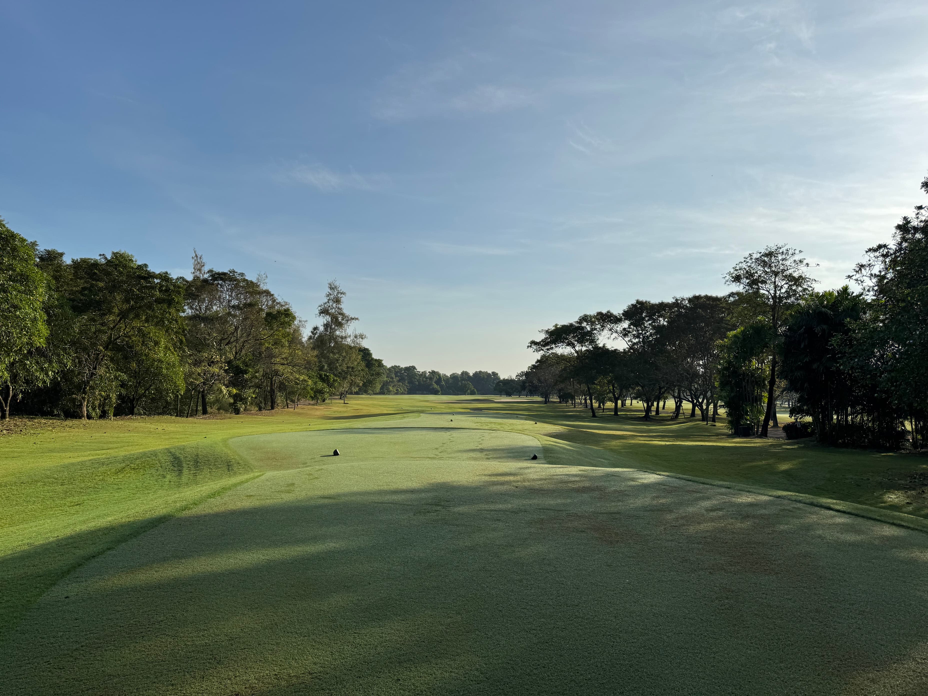 Golfer reviews for courseName