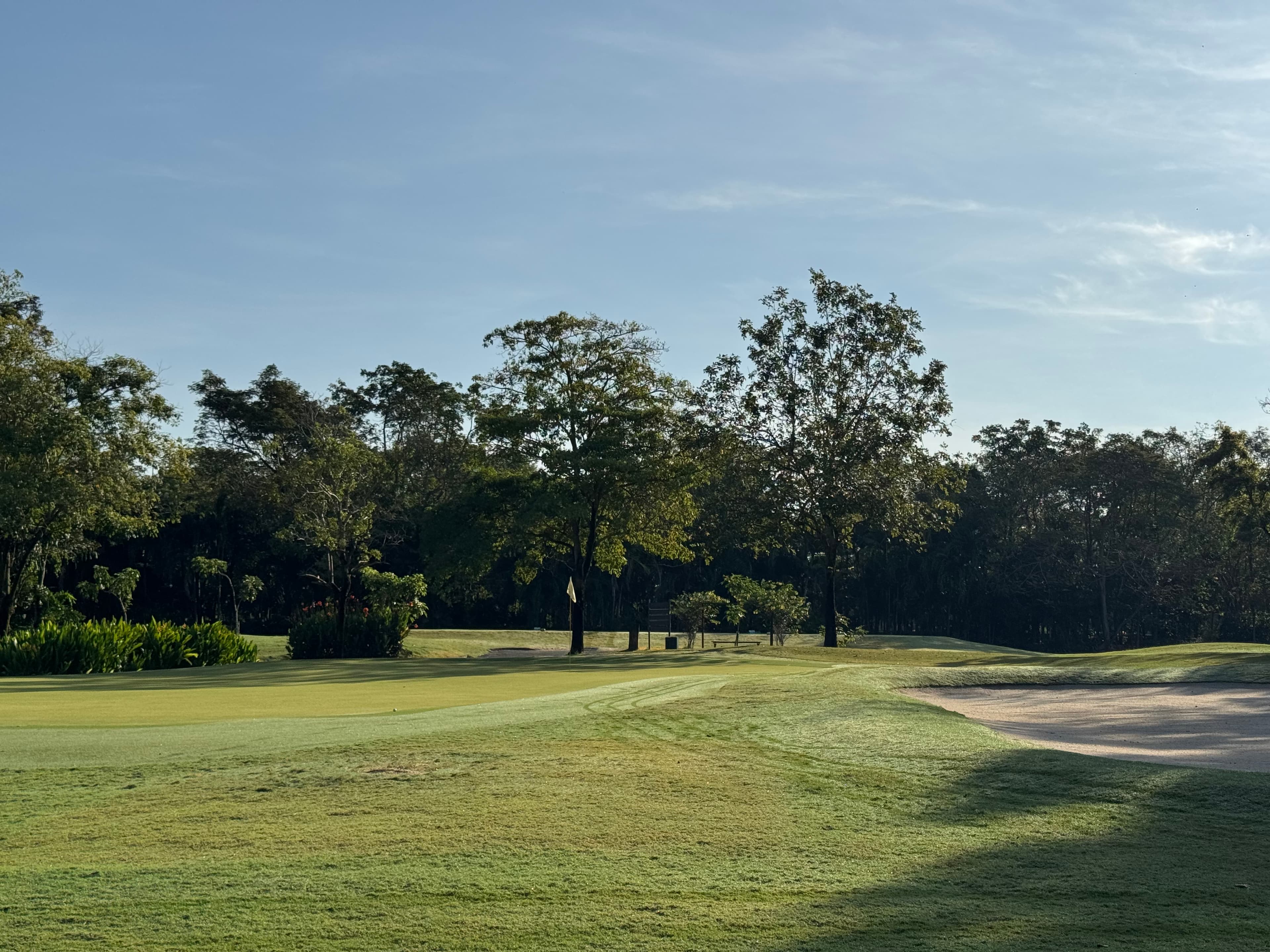 Golfer reviews for courseName