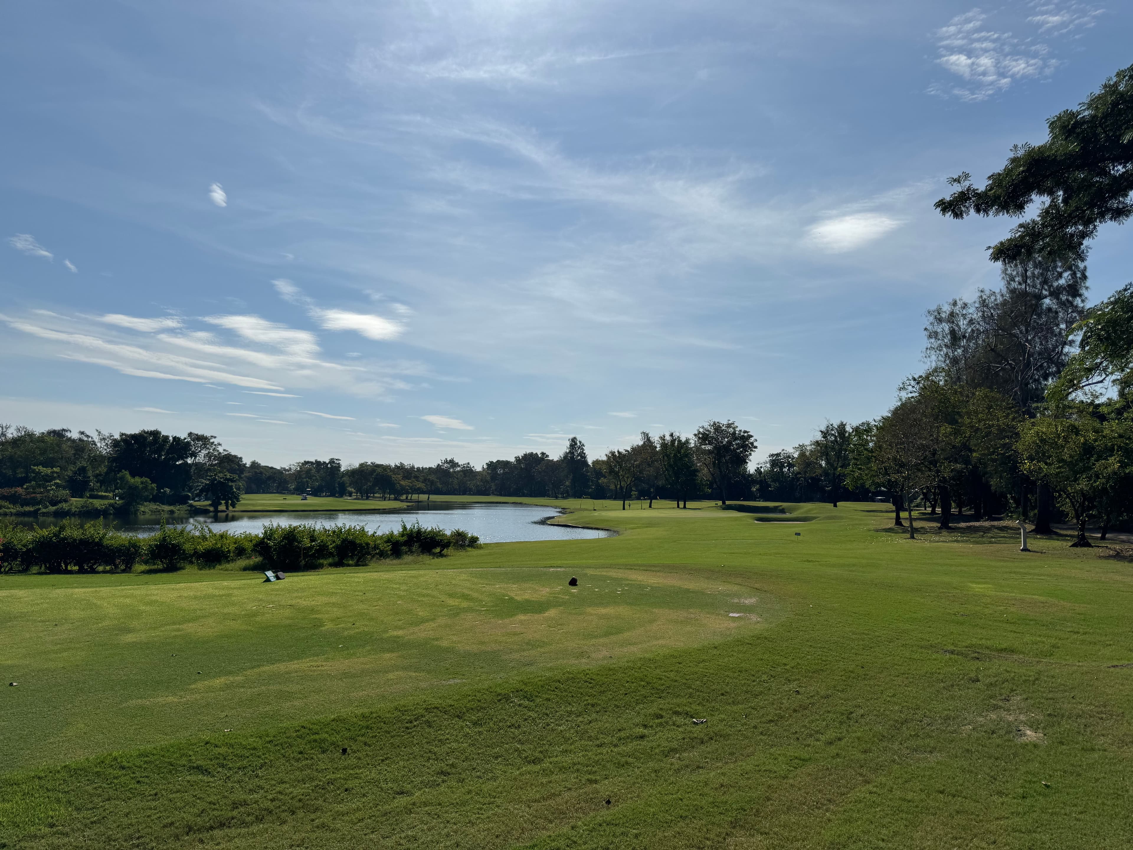 Golfer reviews for courseName