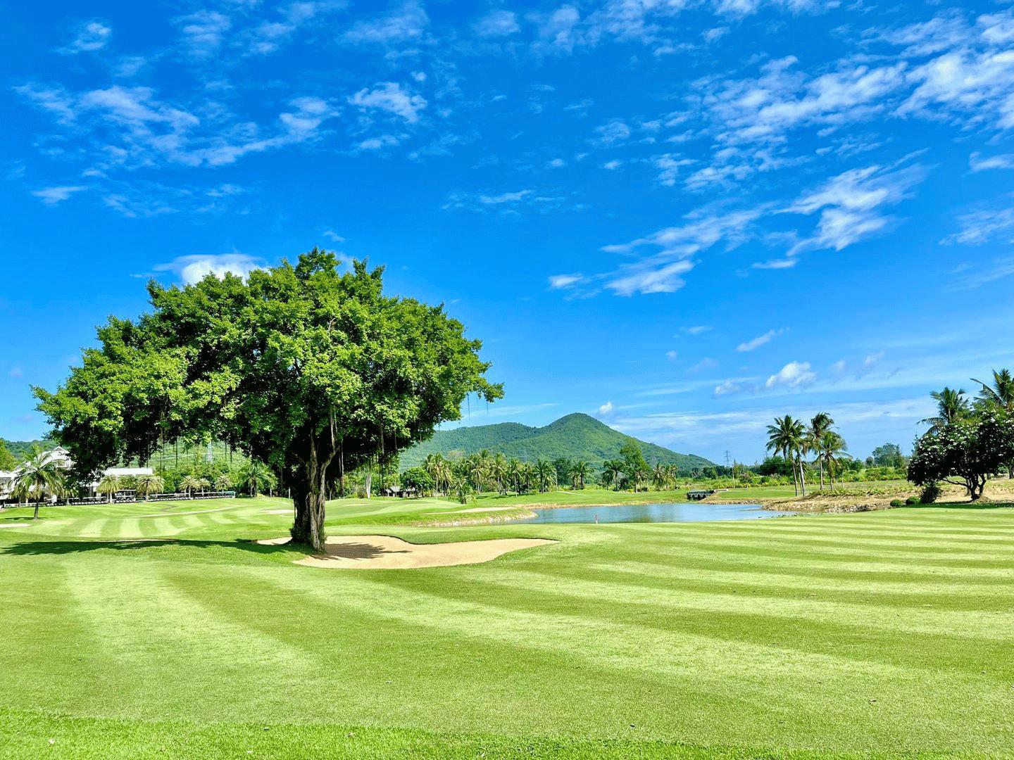 THE MAJESTIC CREEK COUNTRY CLUB