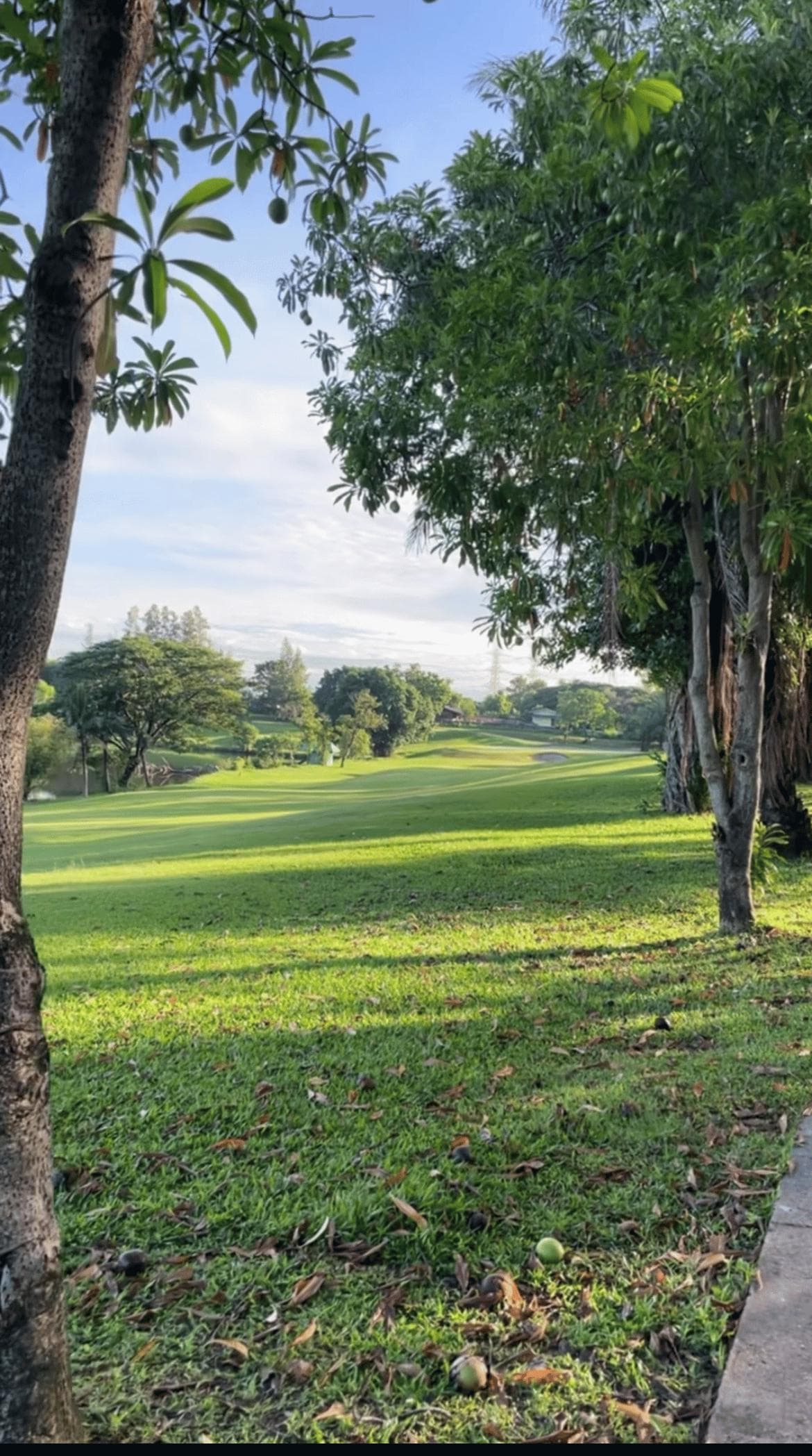 Golfer reviews for courseName