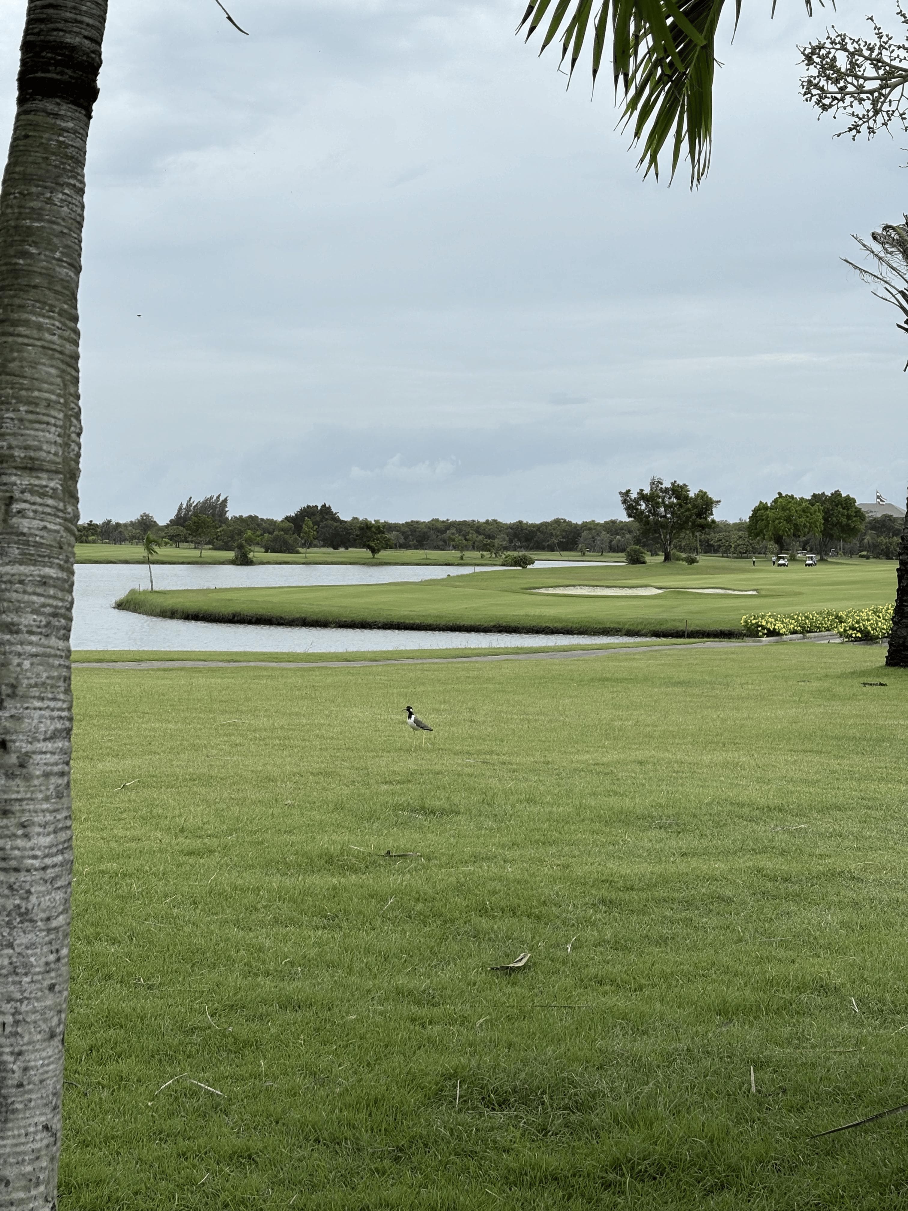 Golfer reviews for courseName