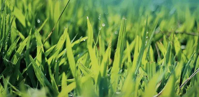 GOLFDIGG TESTING SHOP1