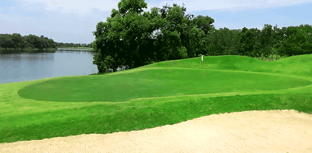 GOLFDIGG TESTING SHOP1