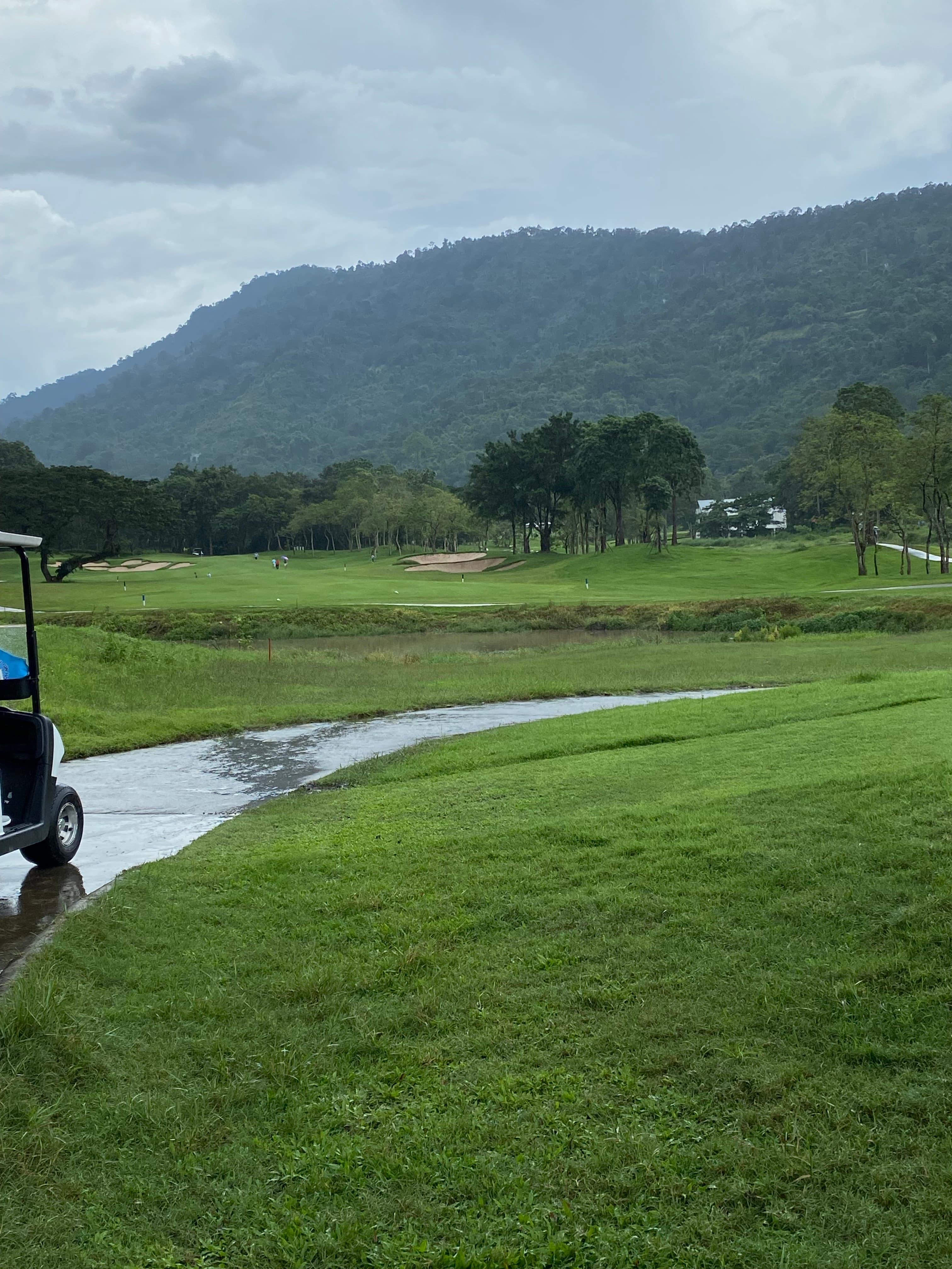 Golfer reviews for courseName