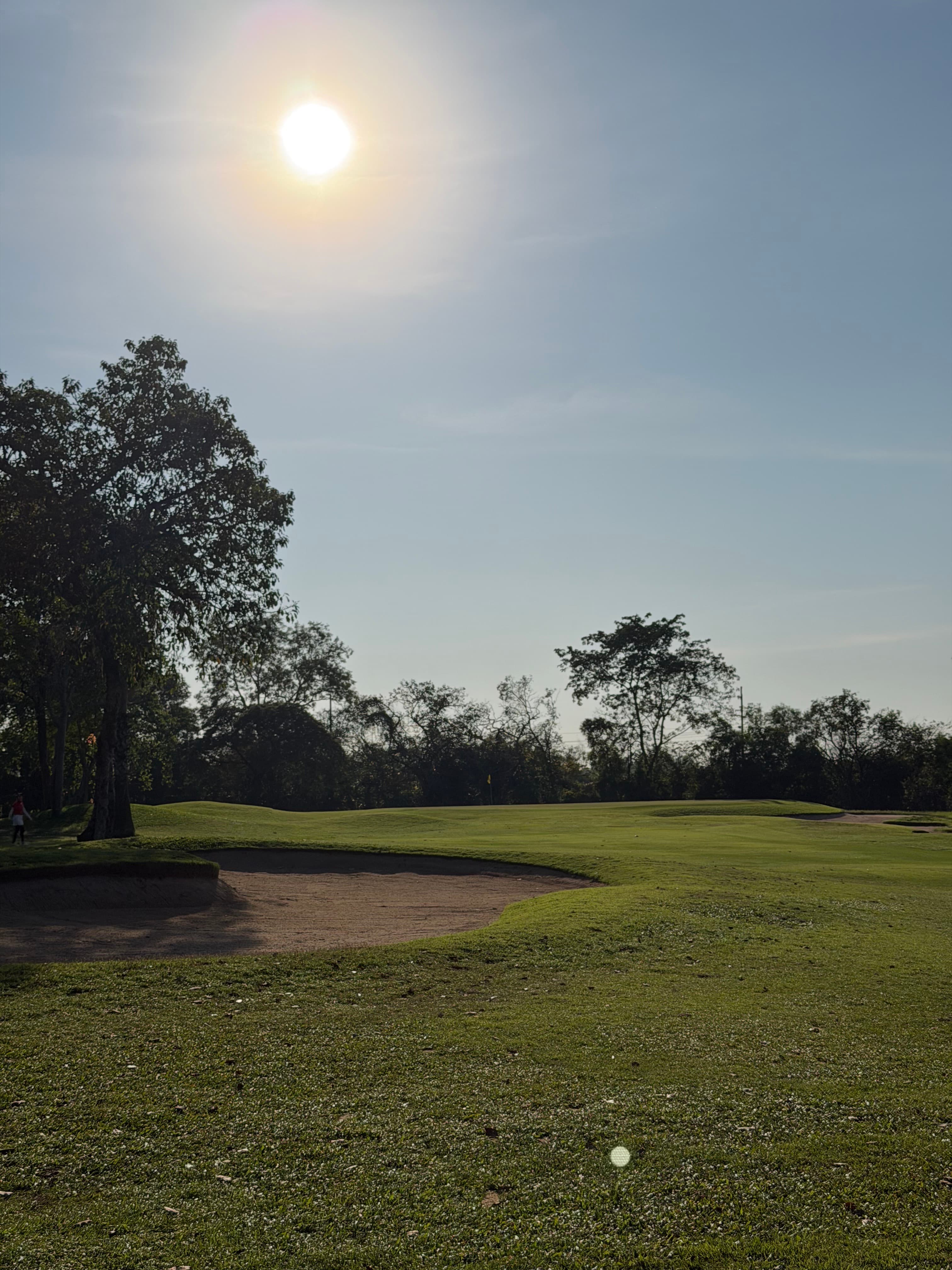 Golfer reviews for courseName