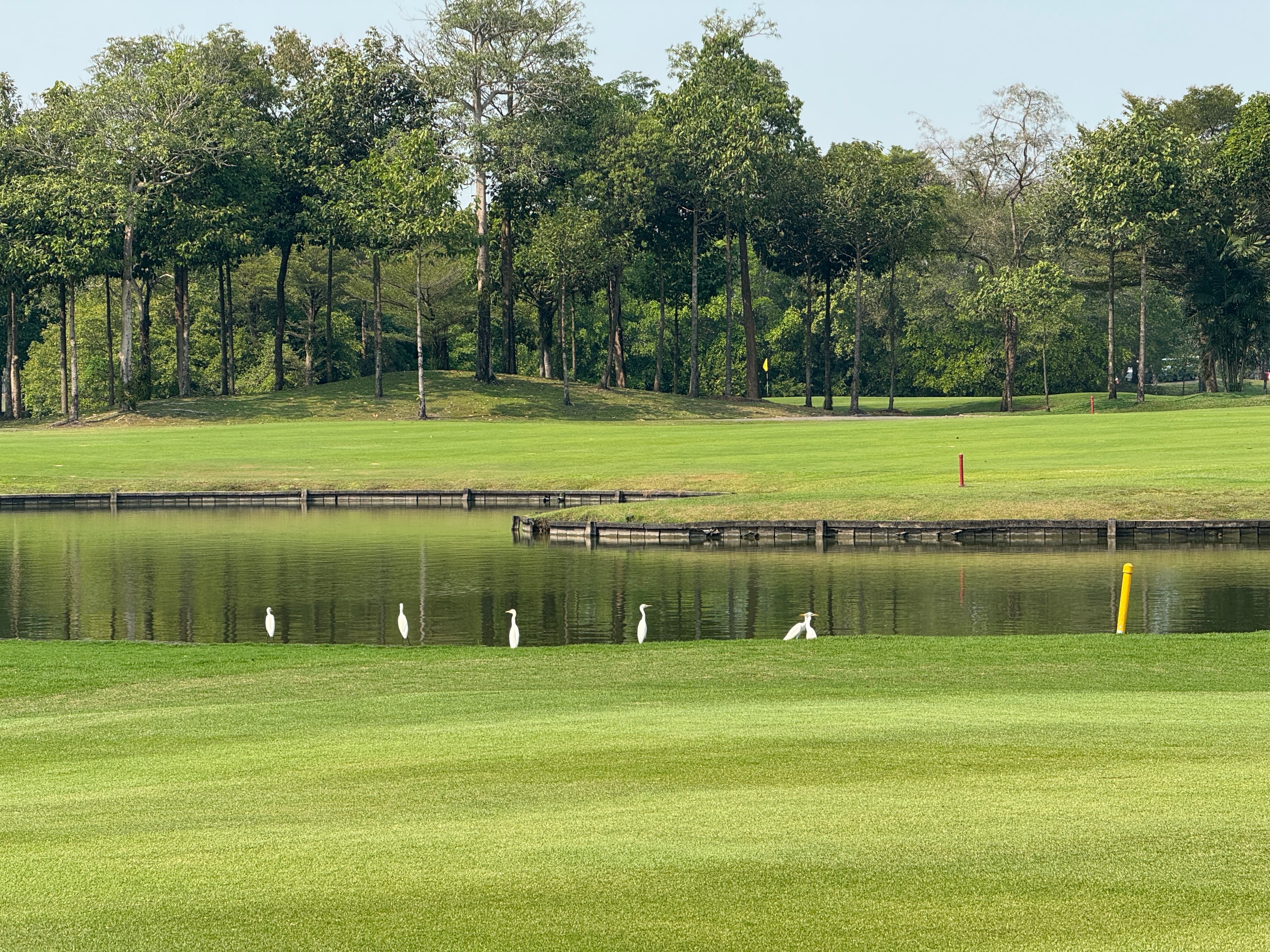 Golfer reviews for courseName