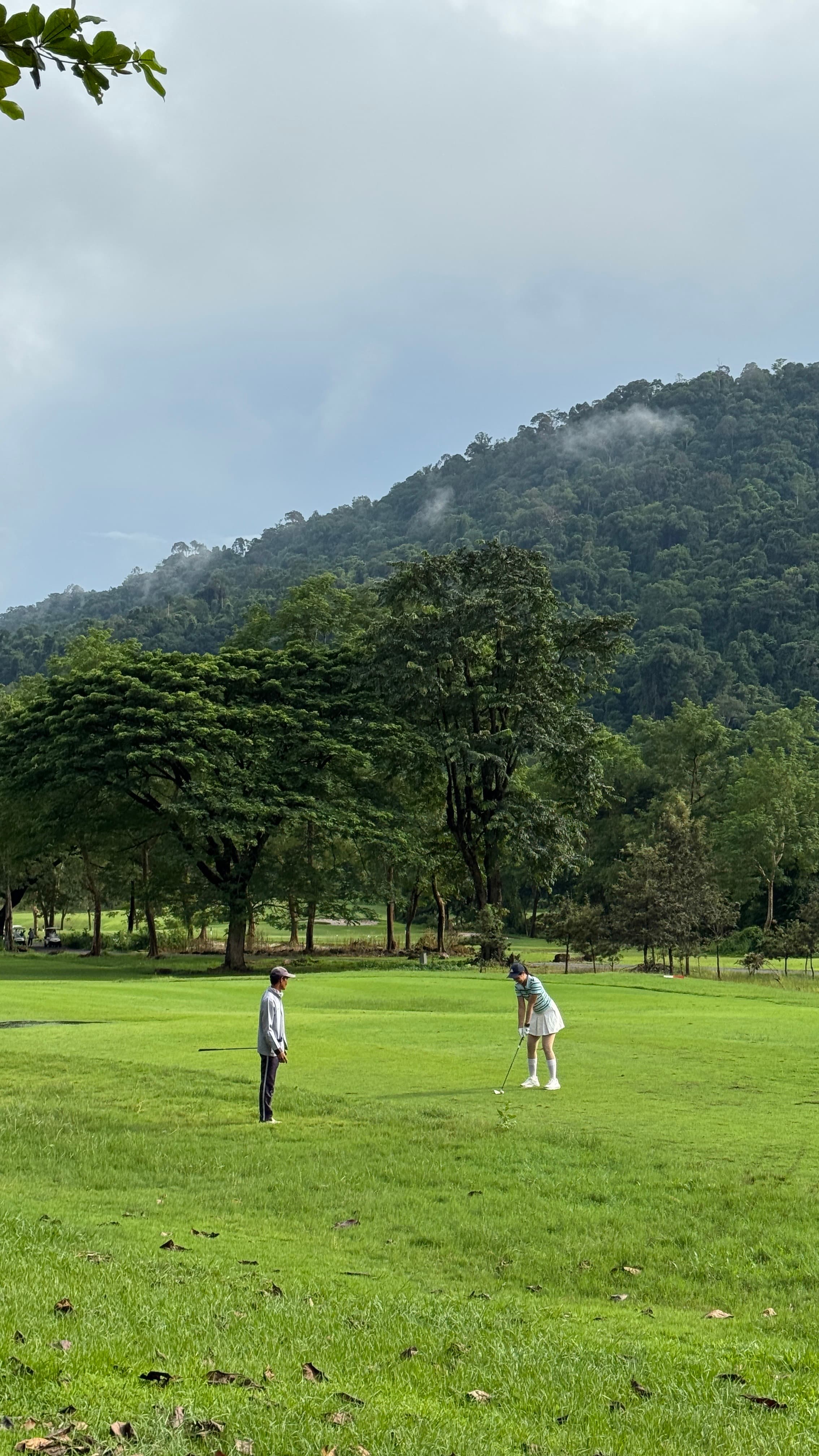 Golfer reviews for courseName