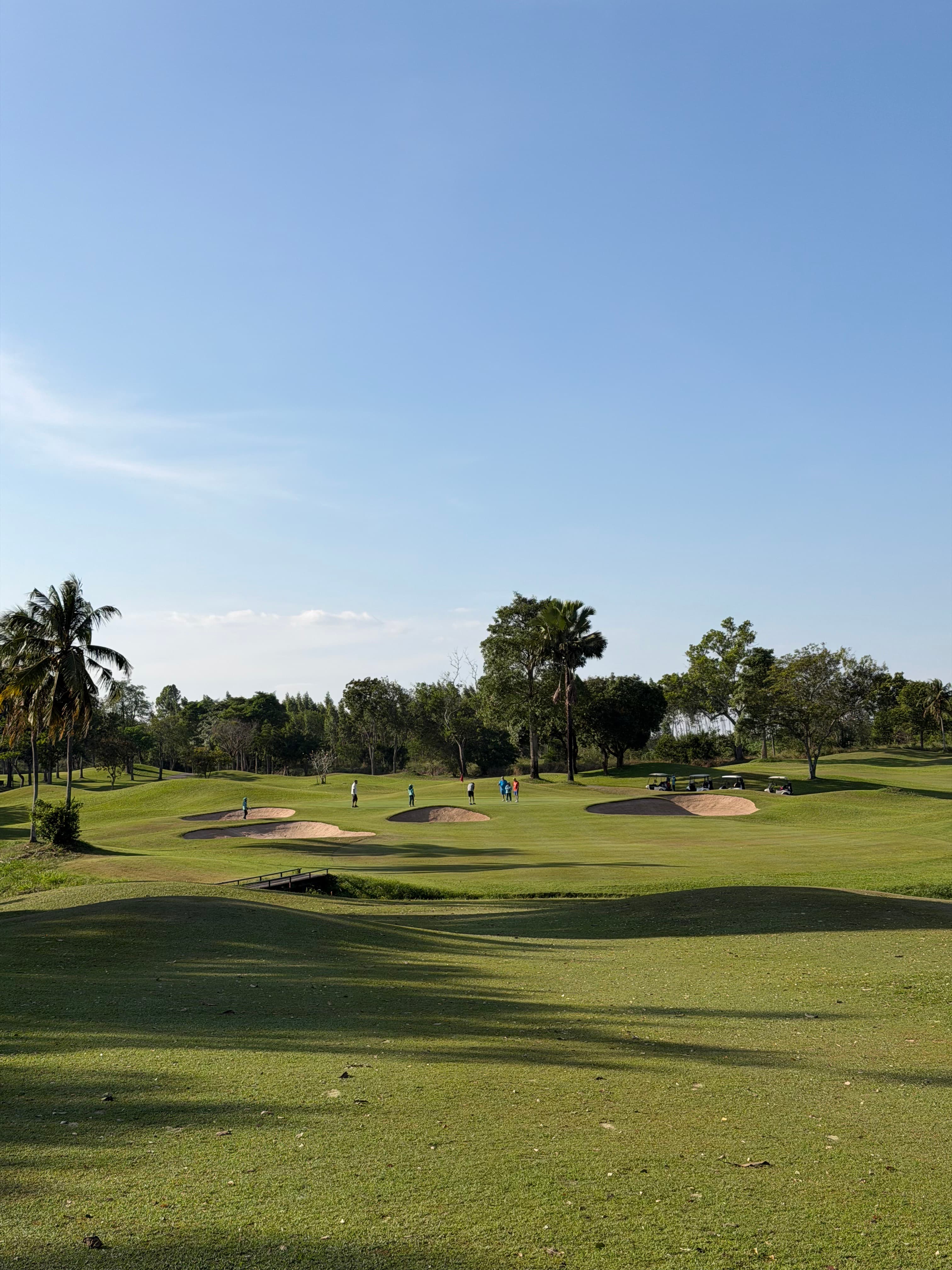 Golfer reviews for courseName