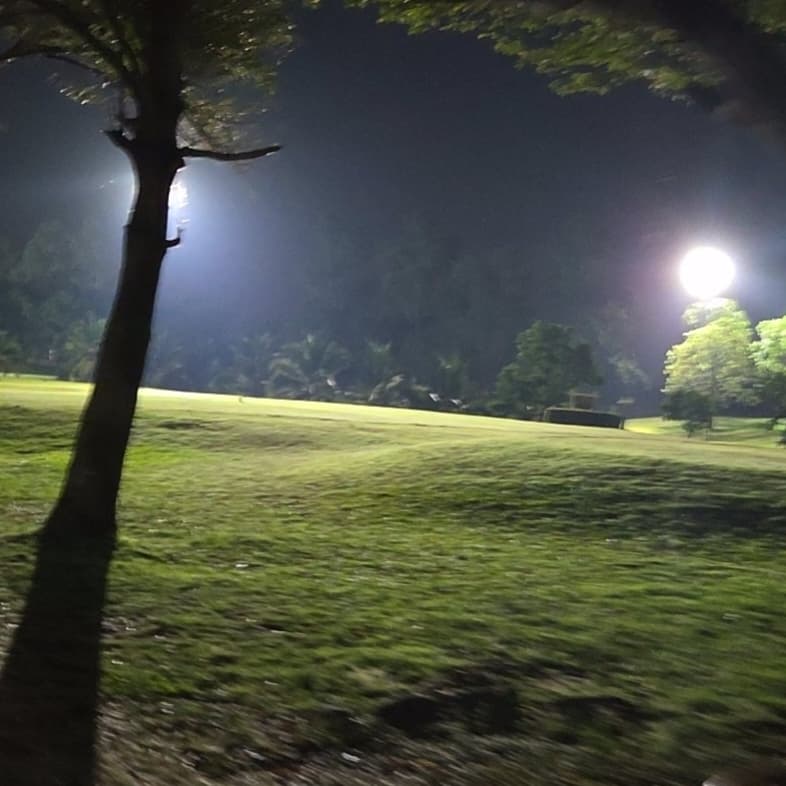 Golfer reviews for courseName