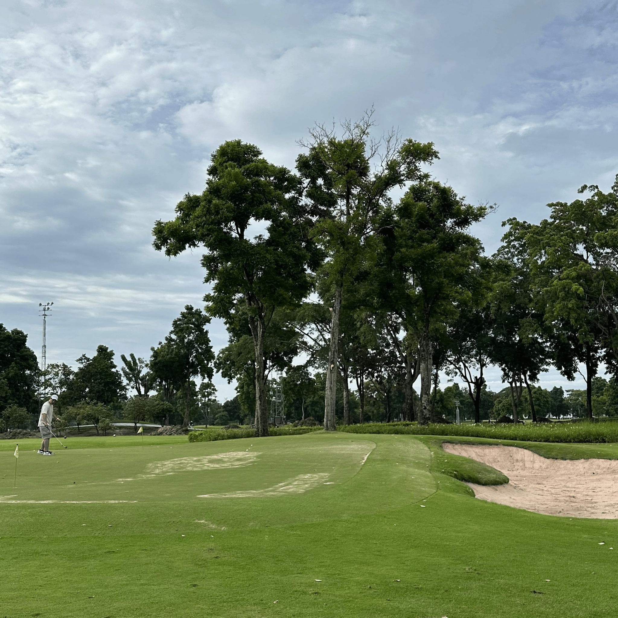 Golfer reviews for courseName