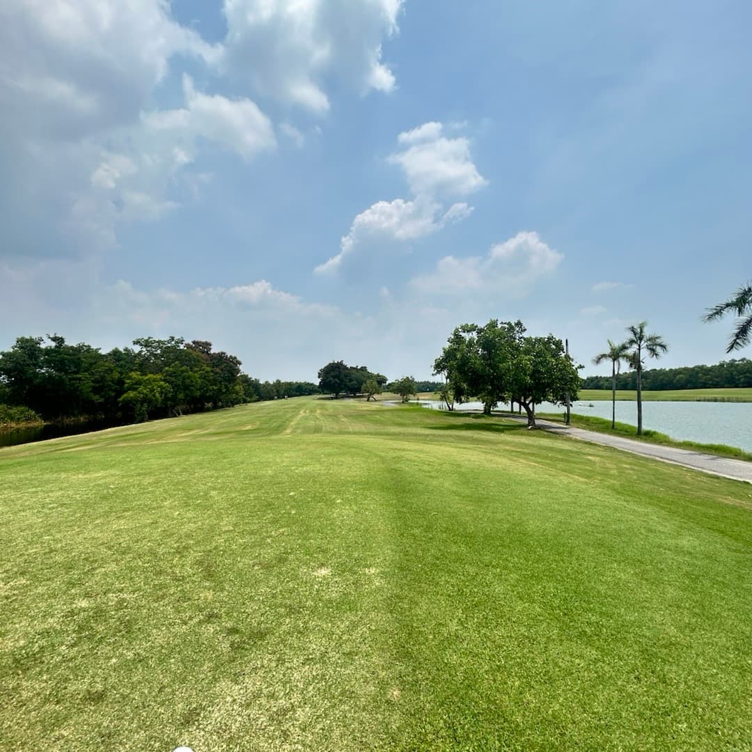 Golfer reviews for courseName