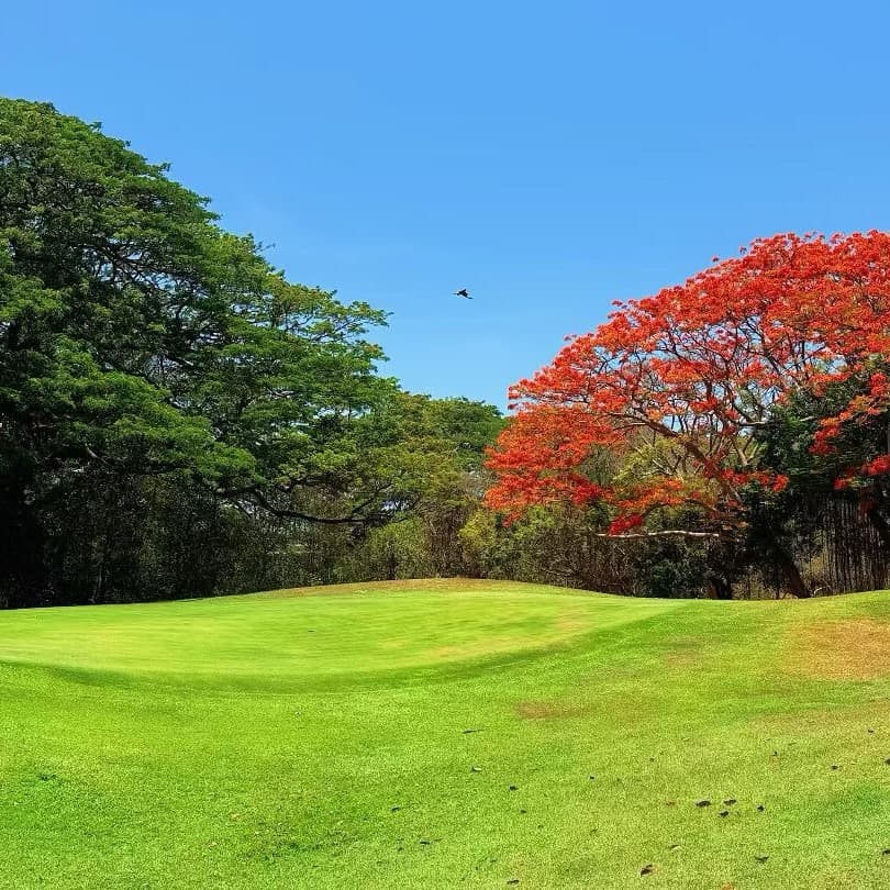 Golfer reviews for courseName
