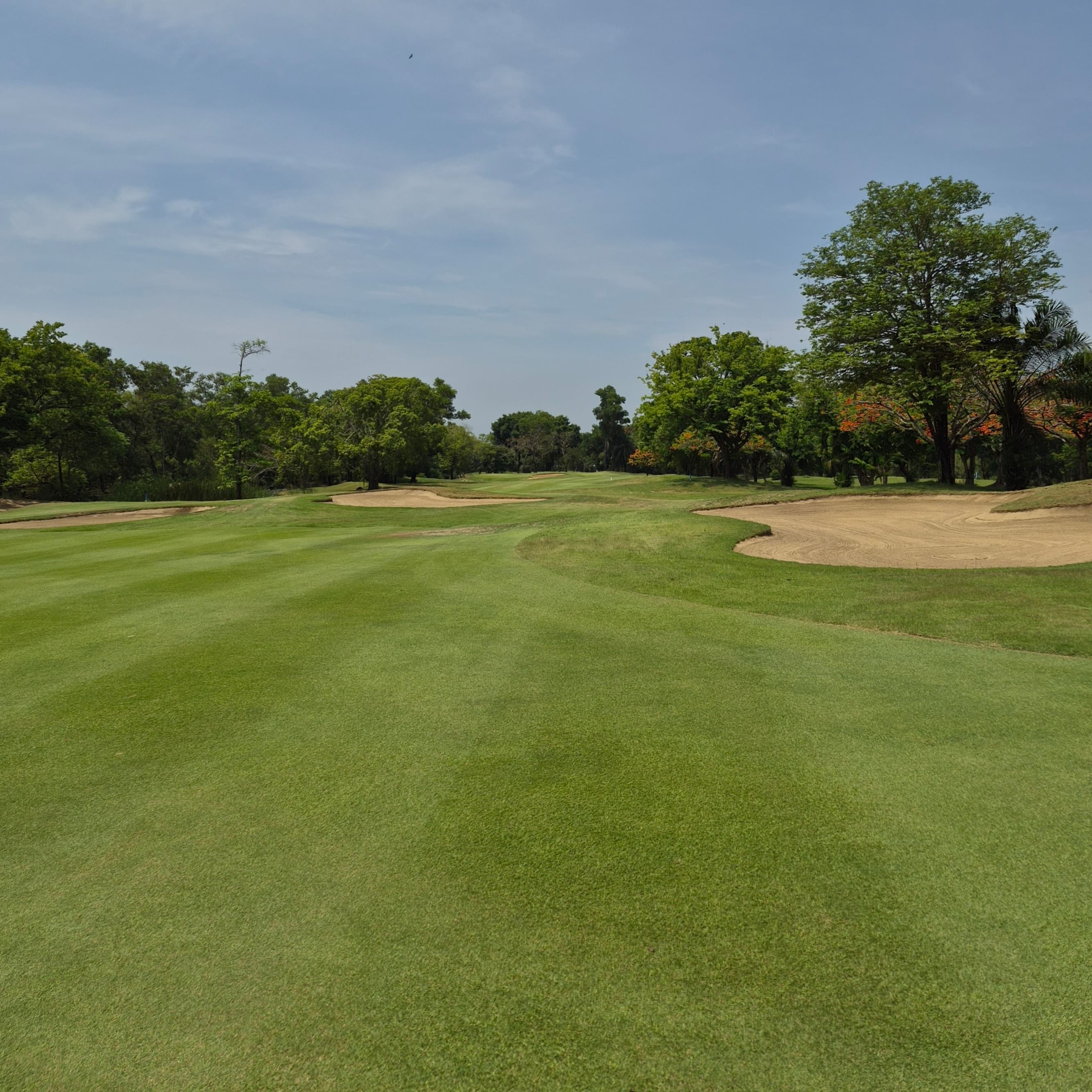 Golfer reviews for courseName